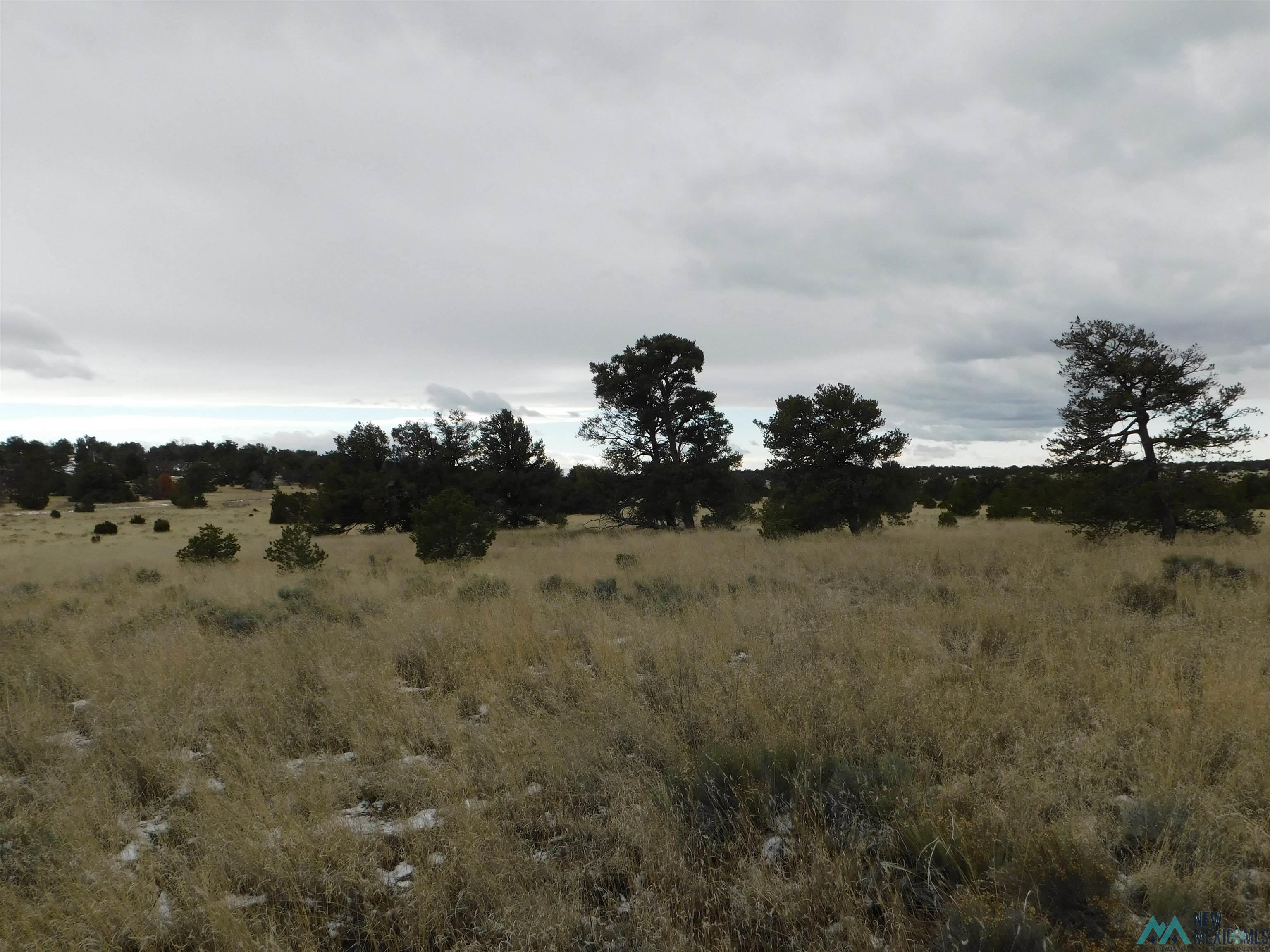 5 Golden Horseshoe Trail, Quemado, New Mexico image 3