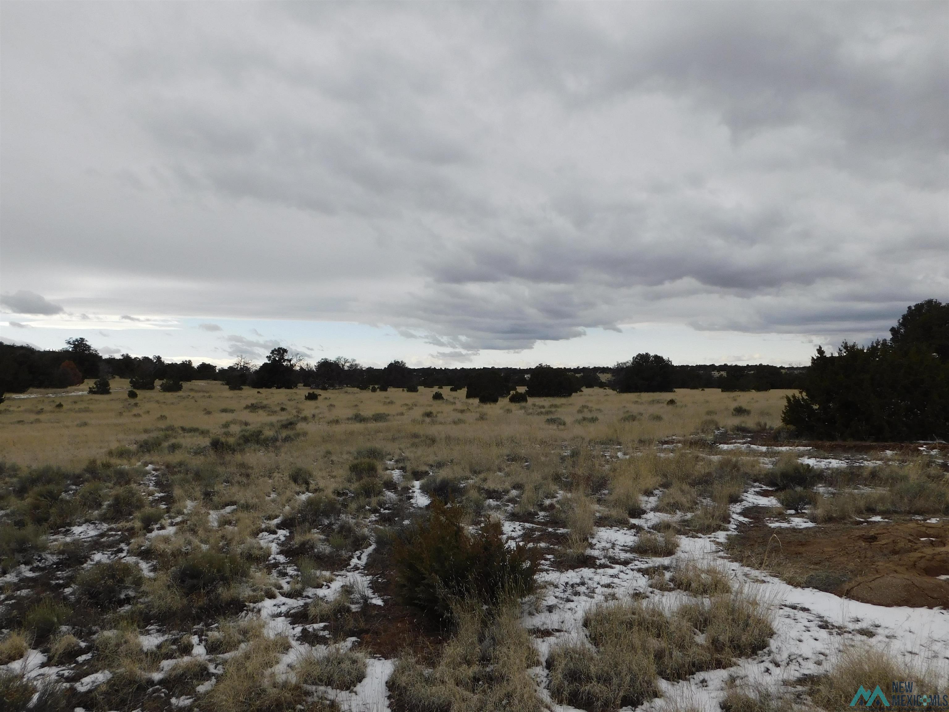 5 Golden Horseshoe Trail, Quemado, New Mexico image 5