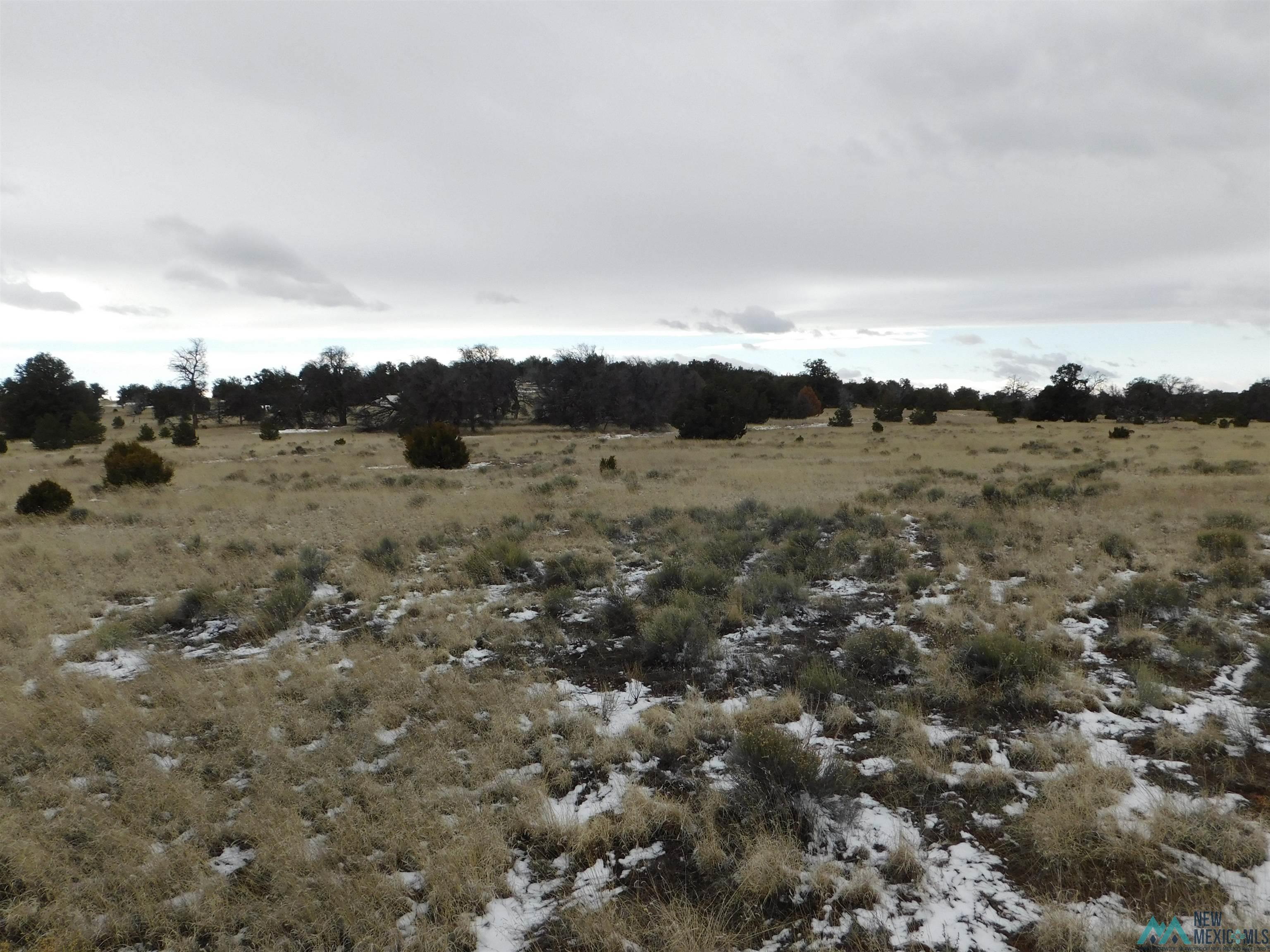 5 Golden Horseshoe Trail, Quemado, New Mexico image 7