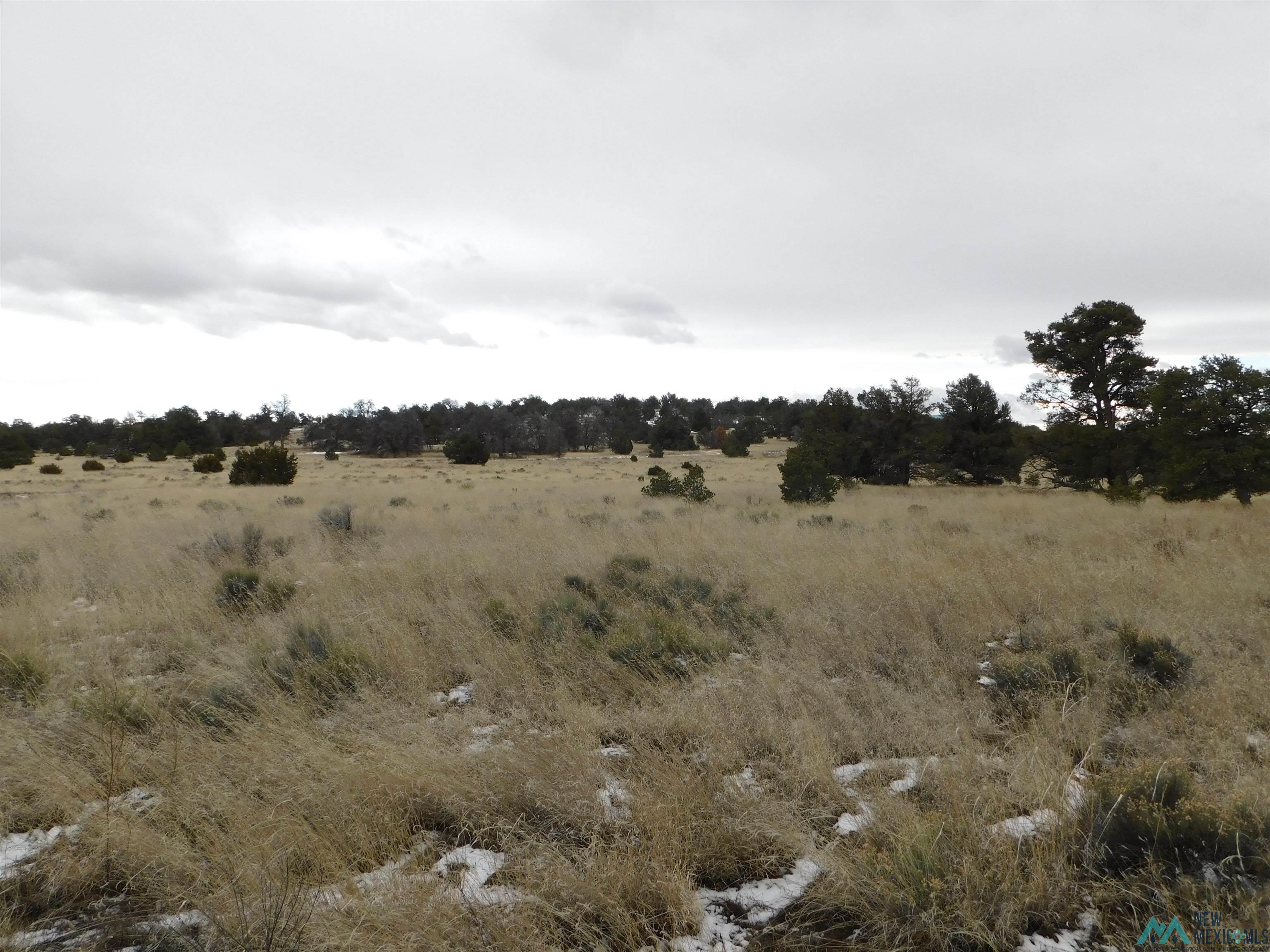 5 Golden Horseshoe Trail, Quemado, New Mexico image 2