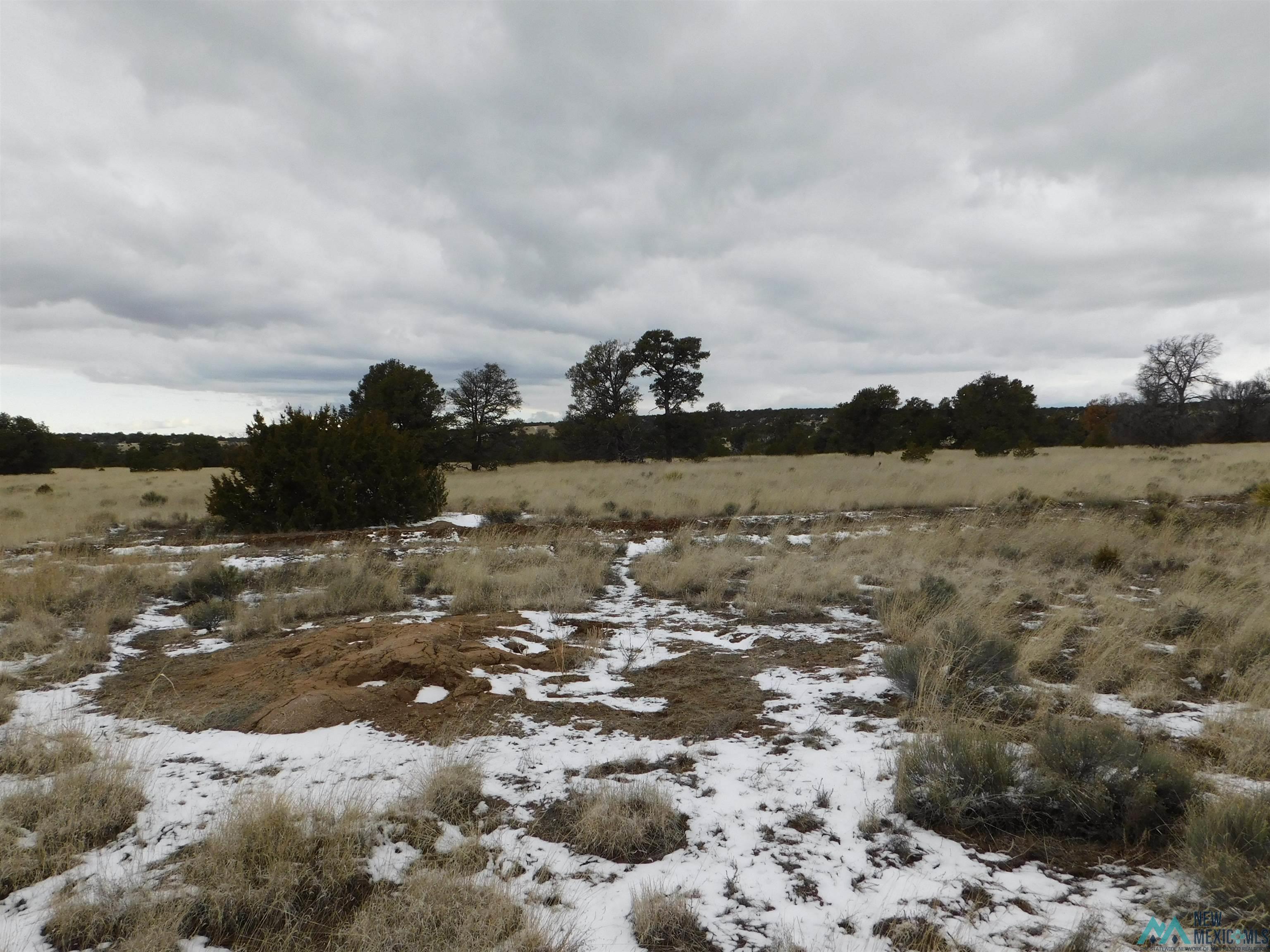 5 Golden Horseshoe Trail, Quemado, New Mexico image 6