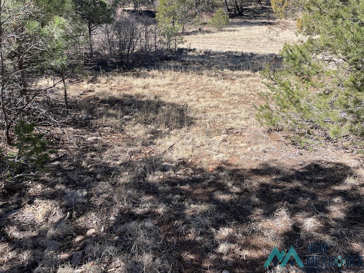 Lot 28 Bronco Drive, Timberon, New Mexico image 4