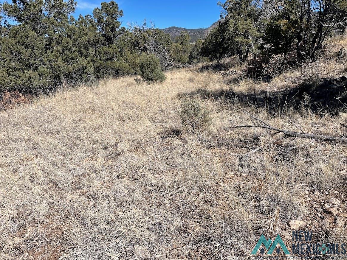 Lot 28 Bronco Drive, Timberon, New Mexico image 2