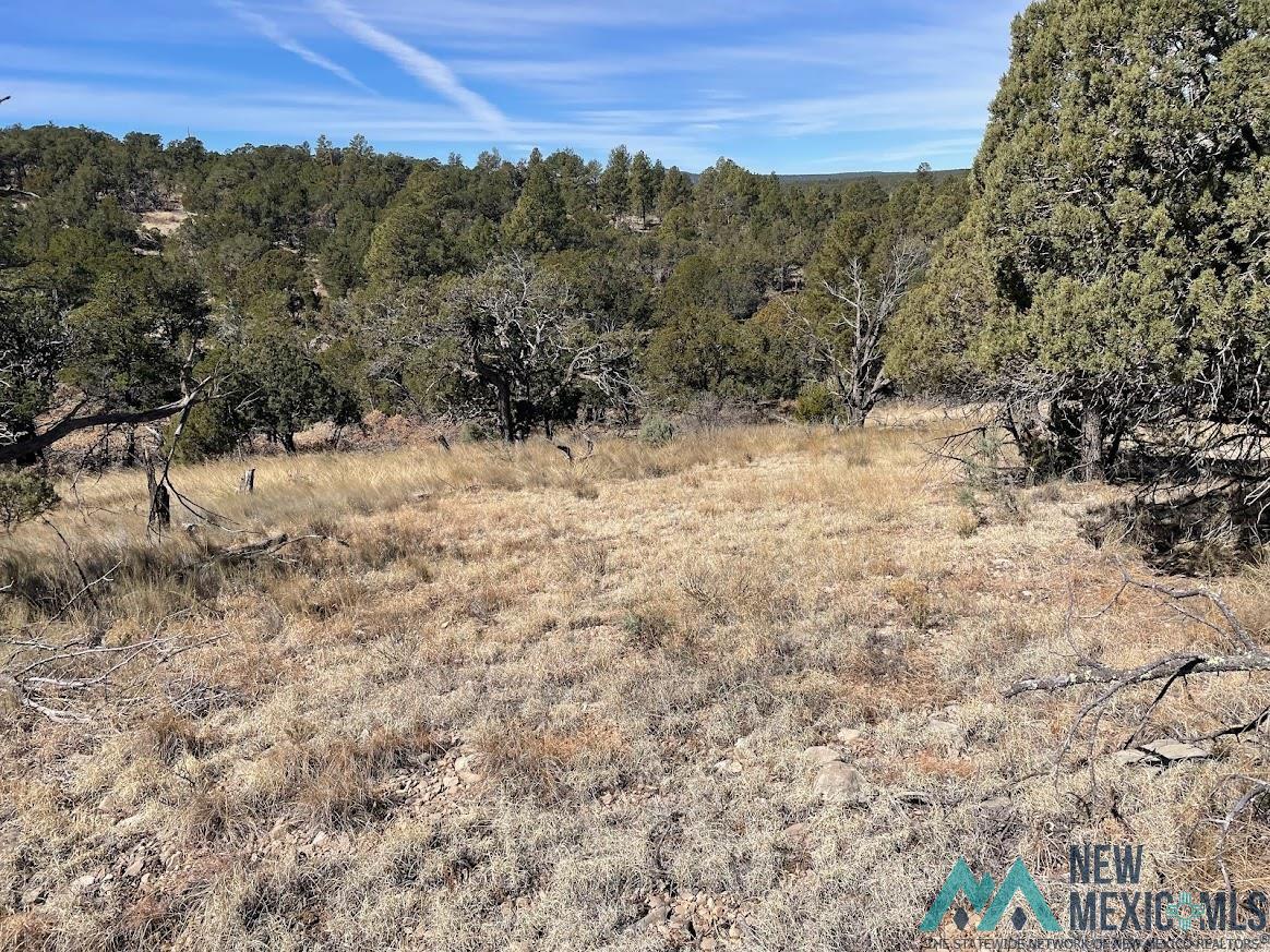 Lot 28 Bronco Drive, Timberon, New Mexico image 1