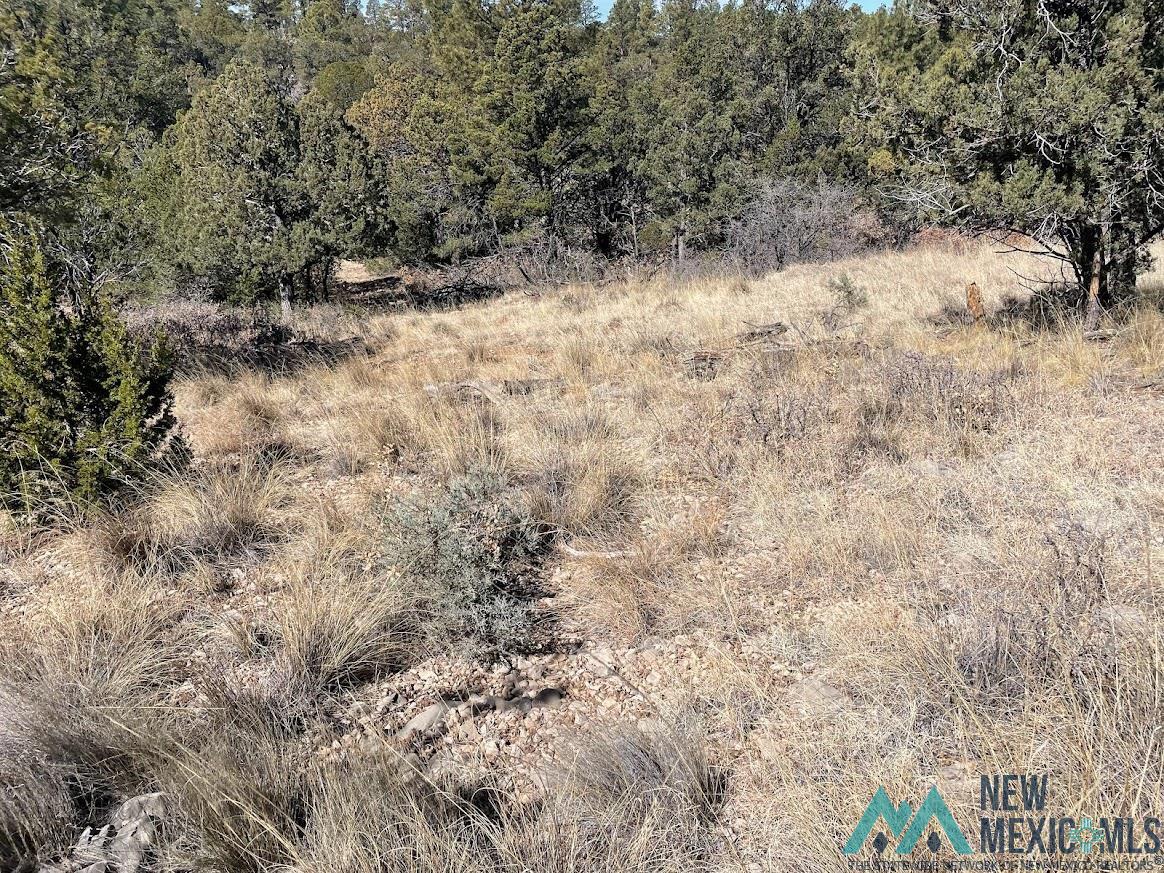 Lot 28 Bronco Drive, Timberon, New Mexico image 3