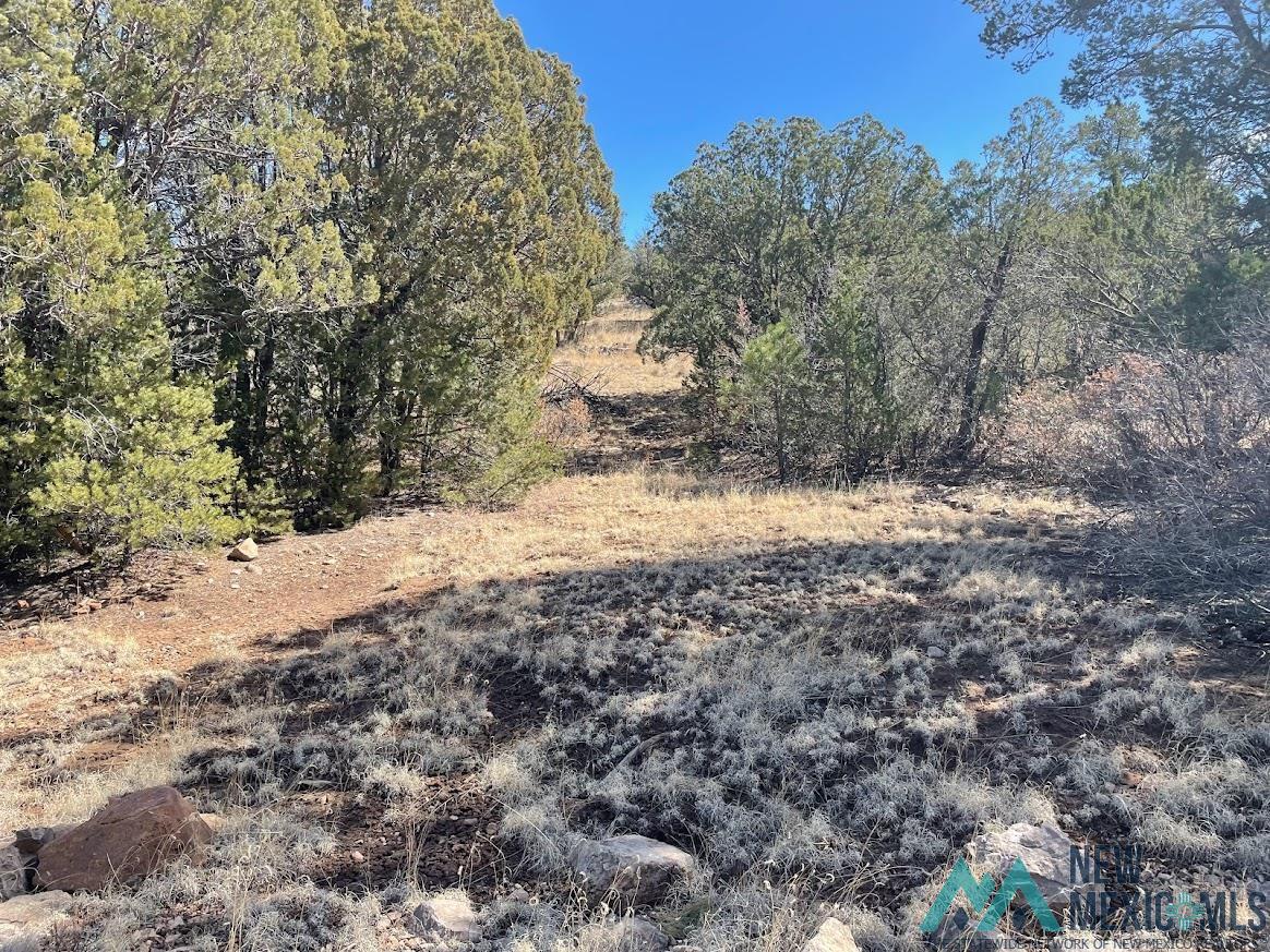 Lot 28 Bronco Drive, Timberon, New Mexico image 6