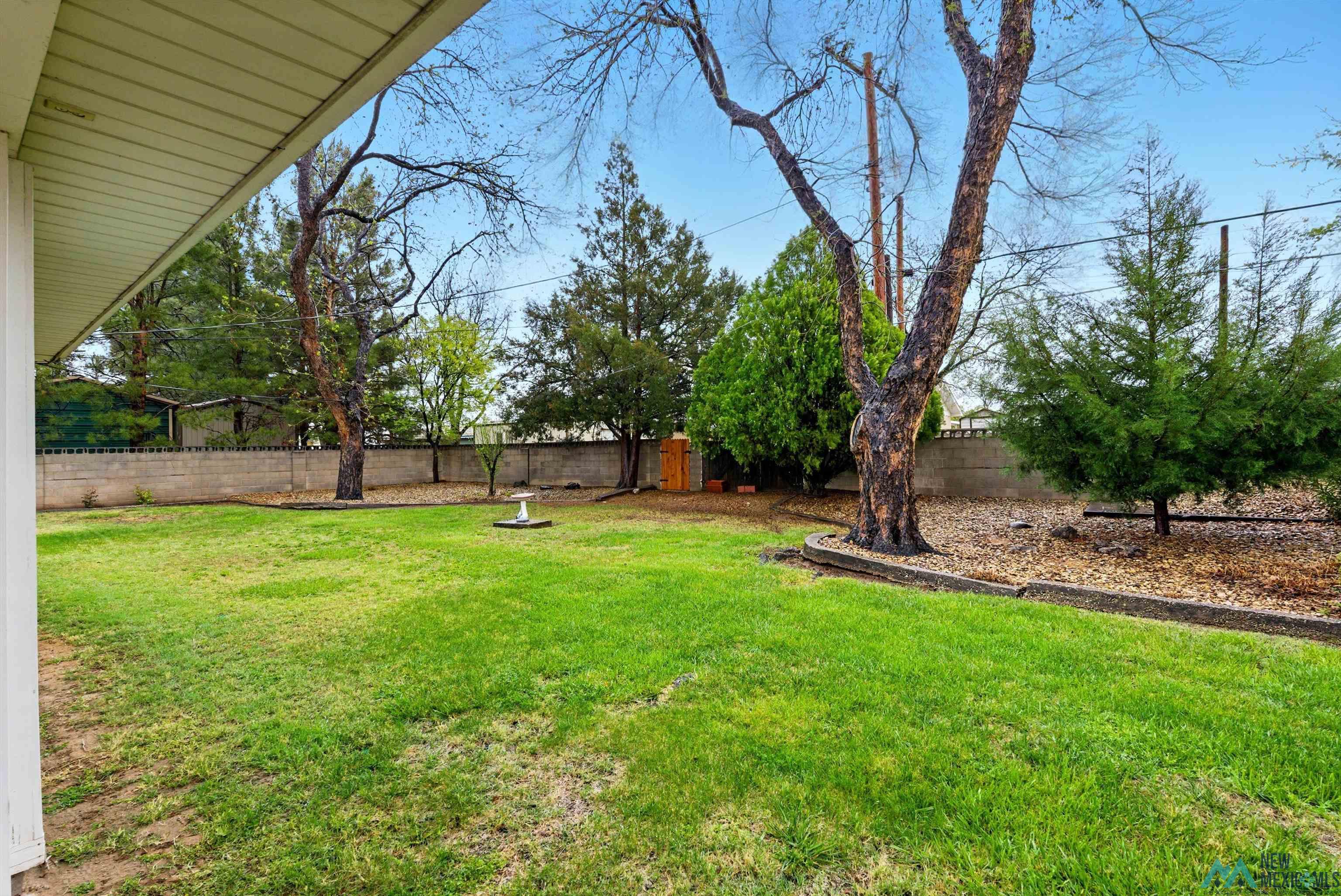 1305 W Thomas Street, Carlsbad, New Mexico image 34