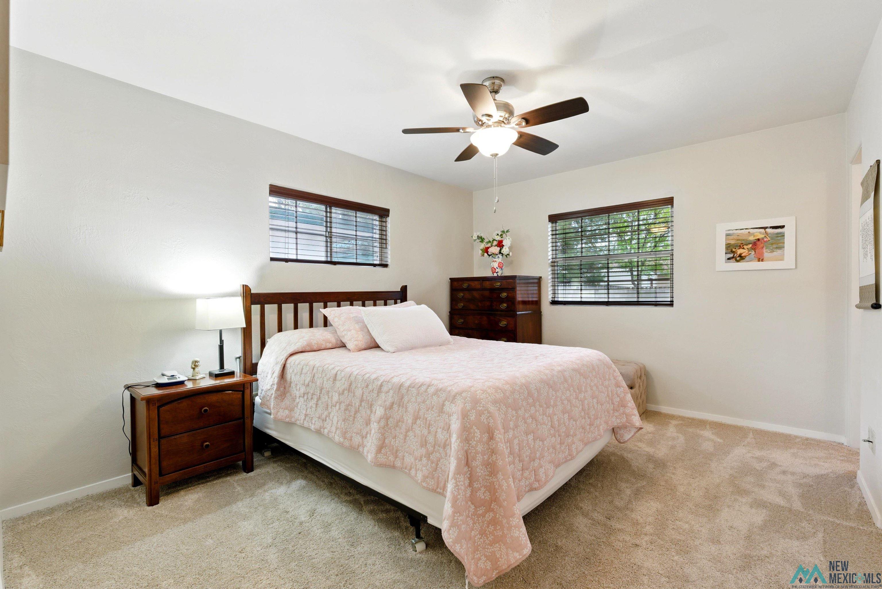 1305 W Thomas Street, Carlsbad, New Mexico image 26