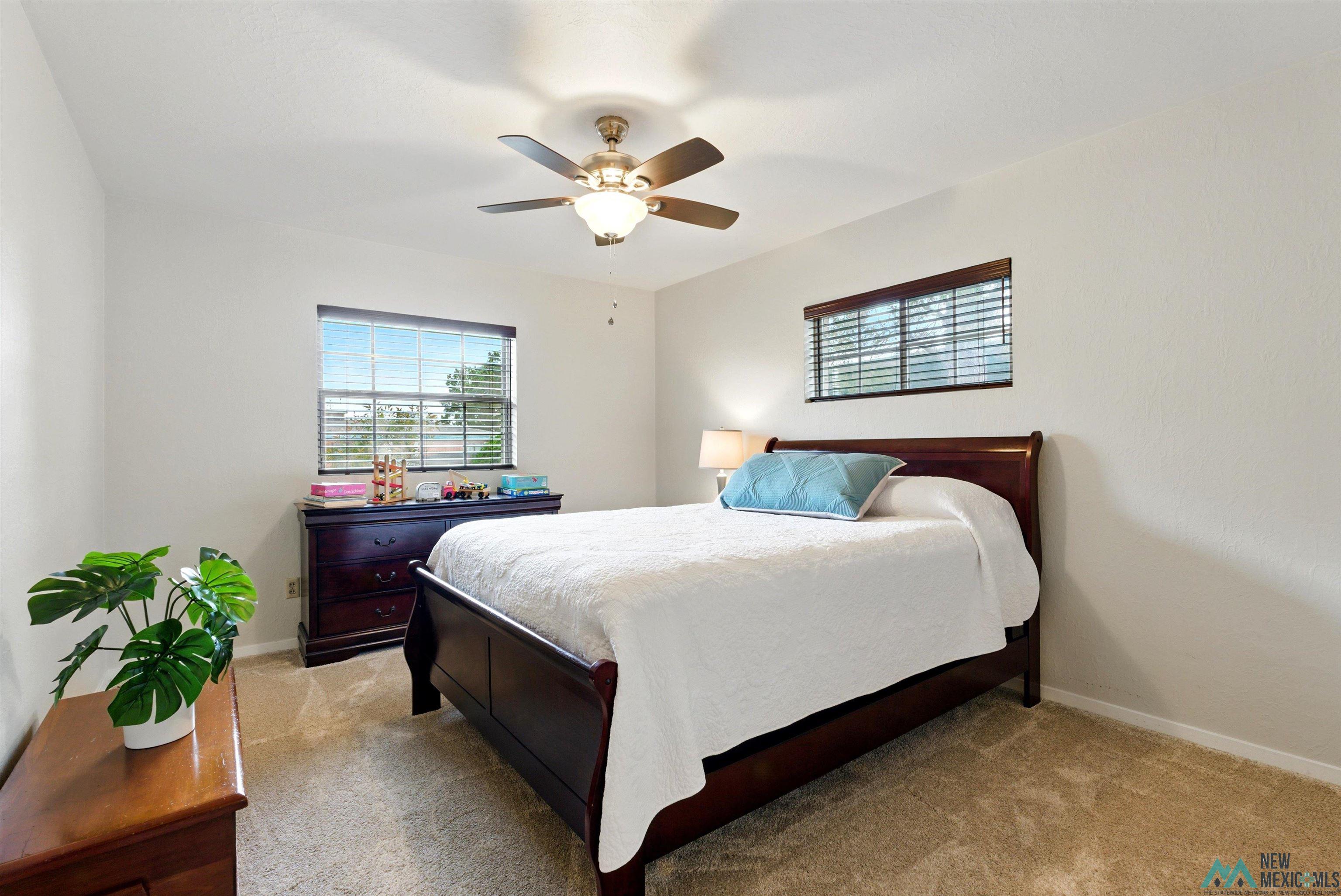 1305 W Thomas Street, Carlsbad, New Mexico image 24
