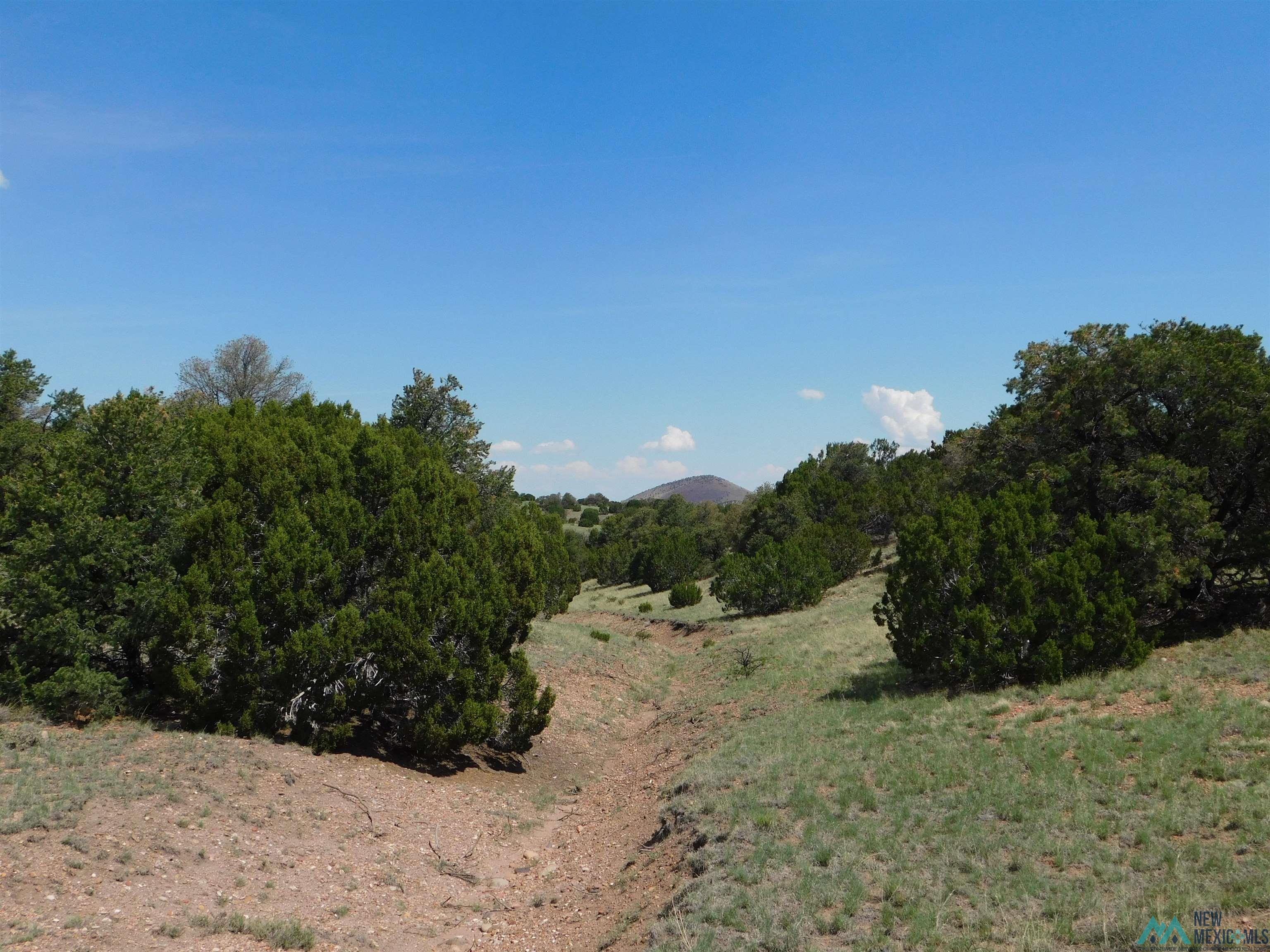 LOT 87 Dove Road, Quemado, New Mexico image 5