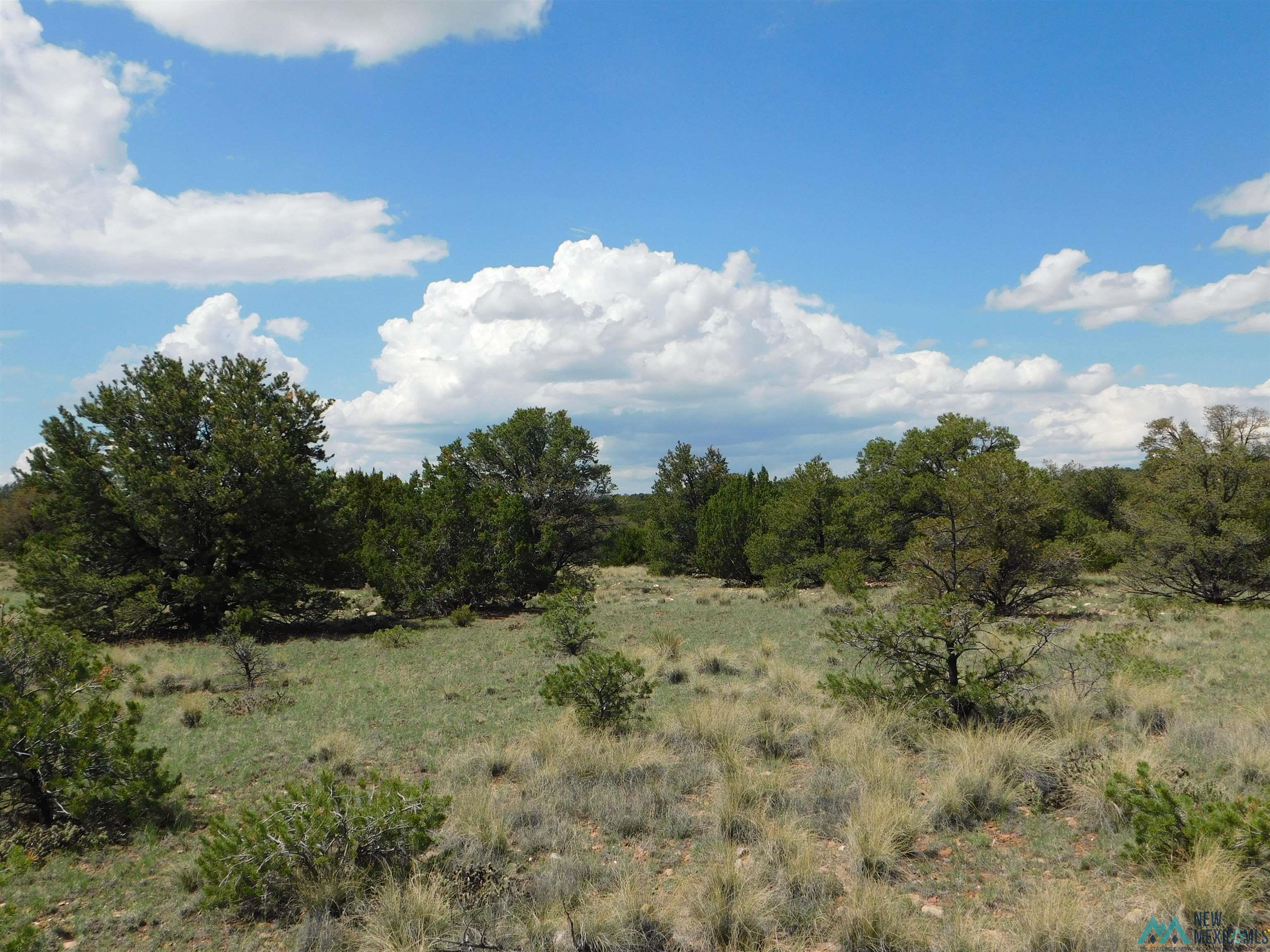 LOT 87 Dove Road, Quemado, New Mexico image 2