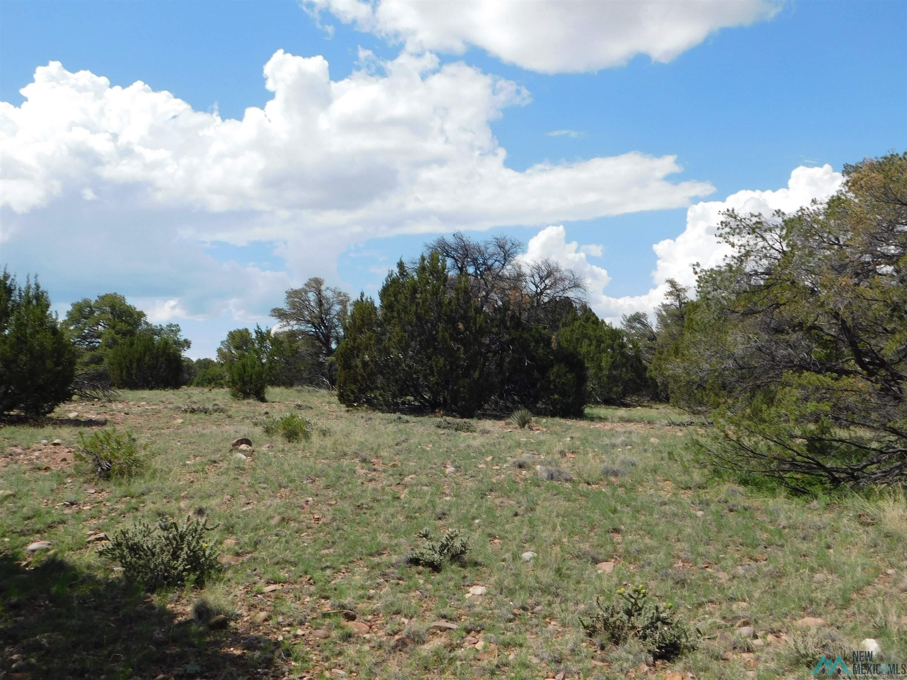 LOT 87 Dove Road, Quemado, New Mexico image 12