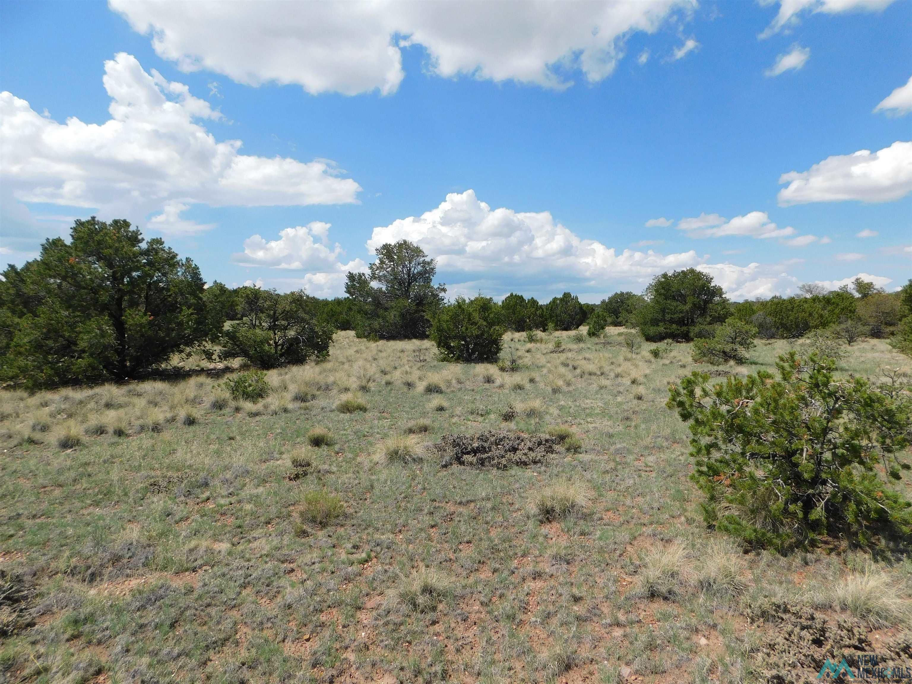 LOT 87 Dove Road, Quemado, New Mexico image 6