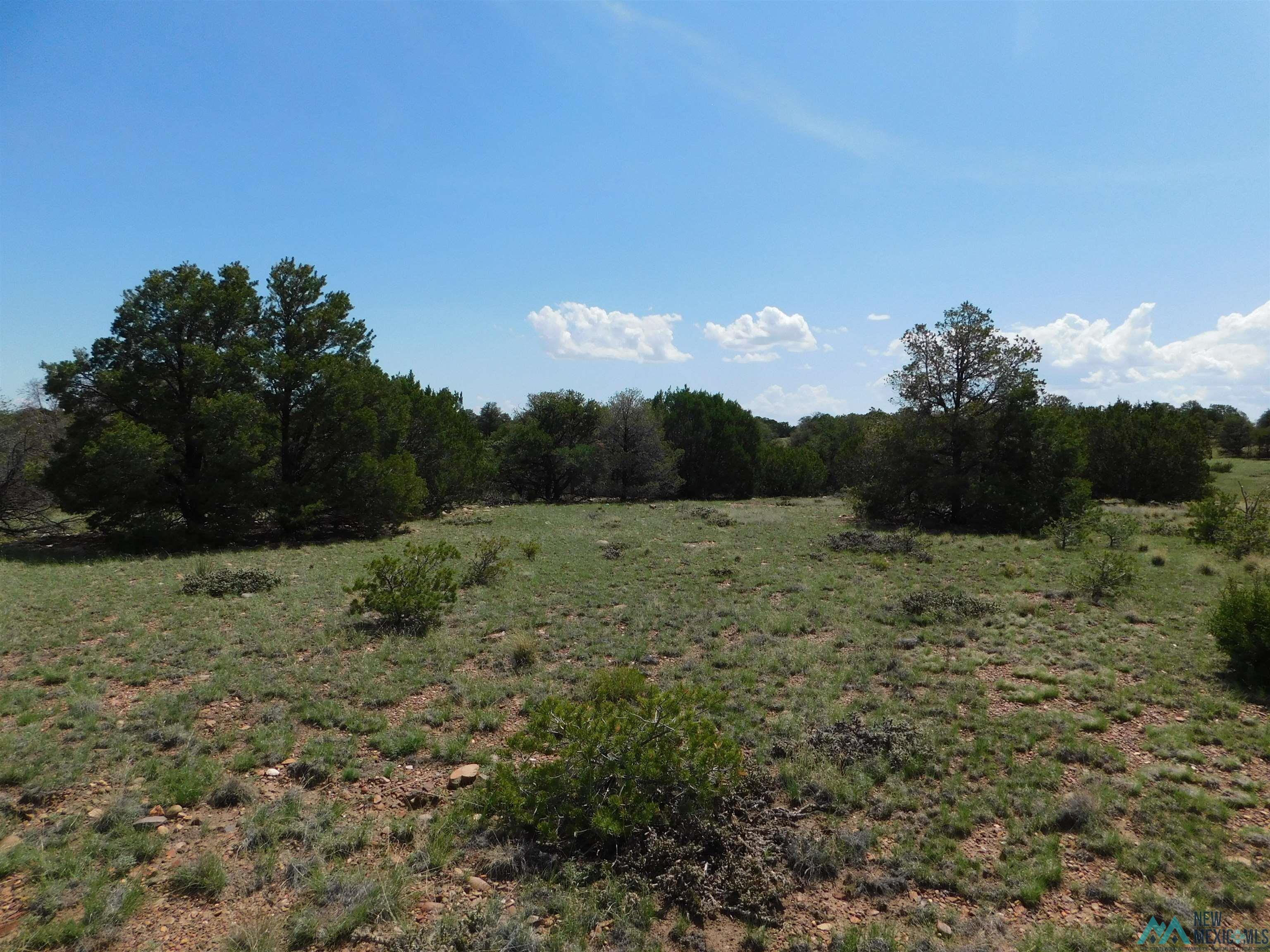 LOT 87 Dove Road, Quemado, New Mexico image 9