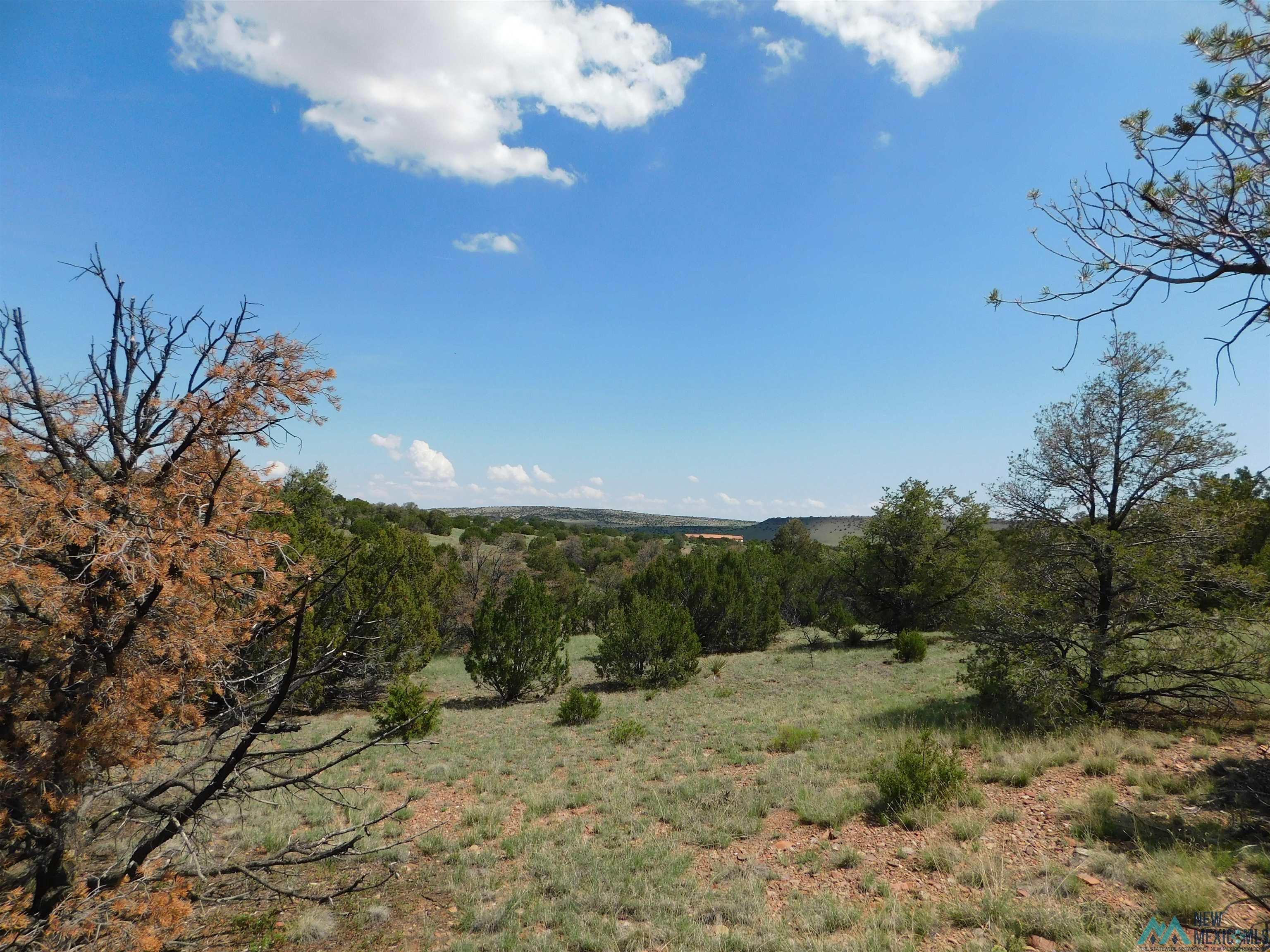 LOT 87 Dove Road, Quemado, New Mexico image 4