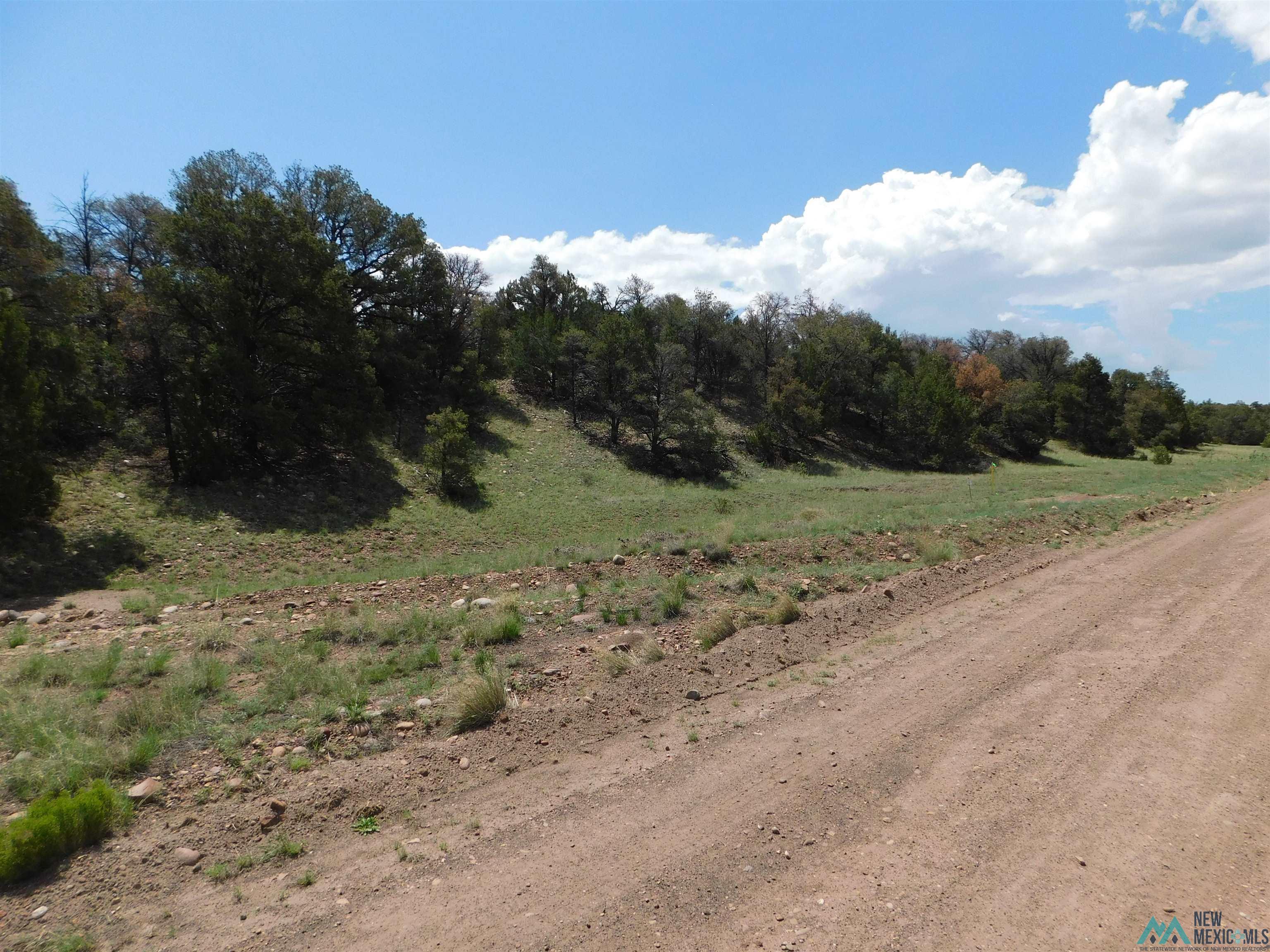 LOT 87 Dove Road, Quemado, New Mexico image 13