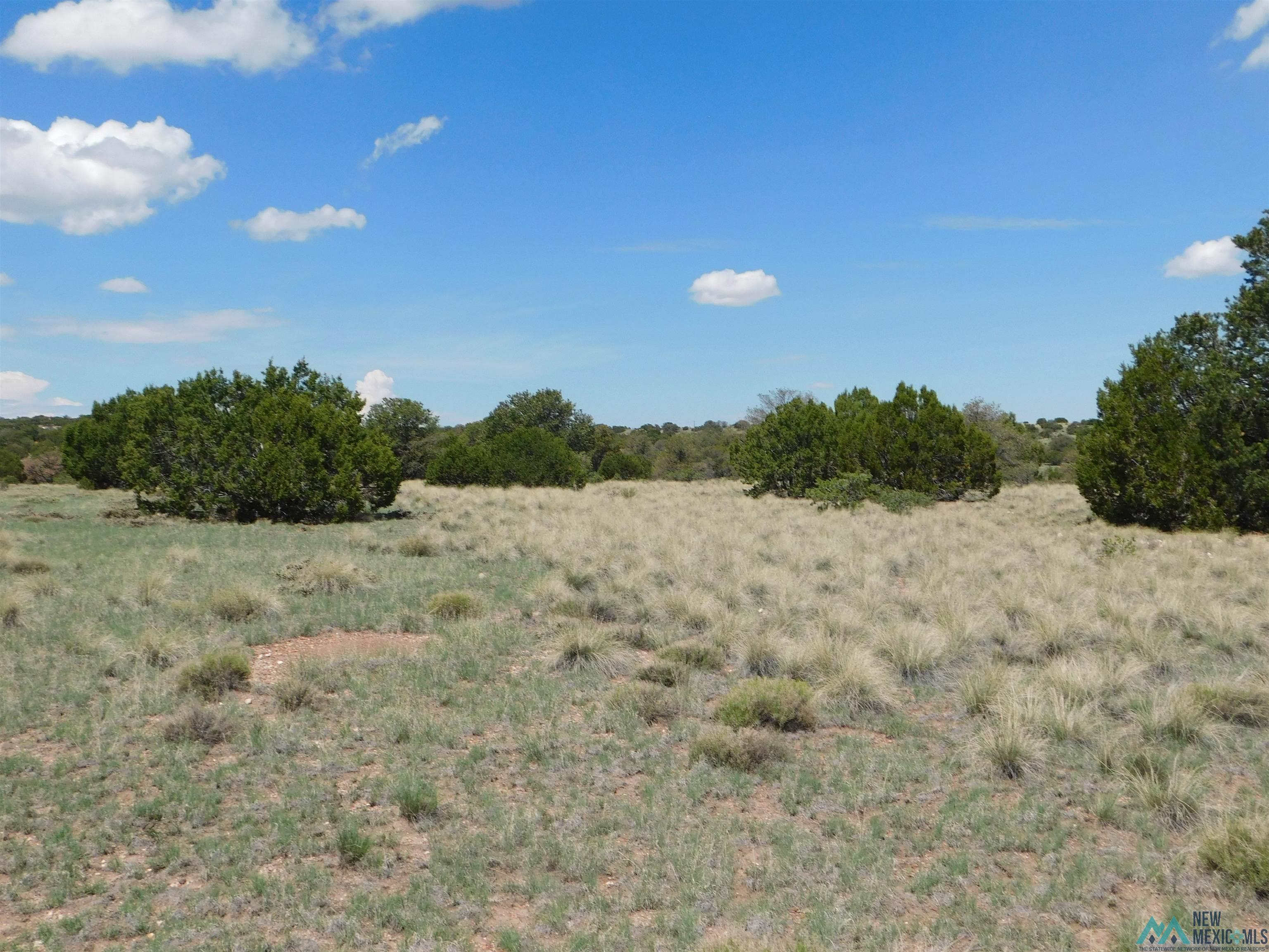 LOT 87 Dove Road, Quemado, New Mexico image 11