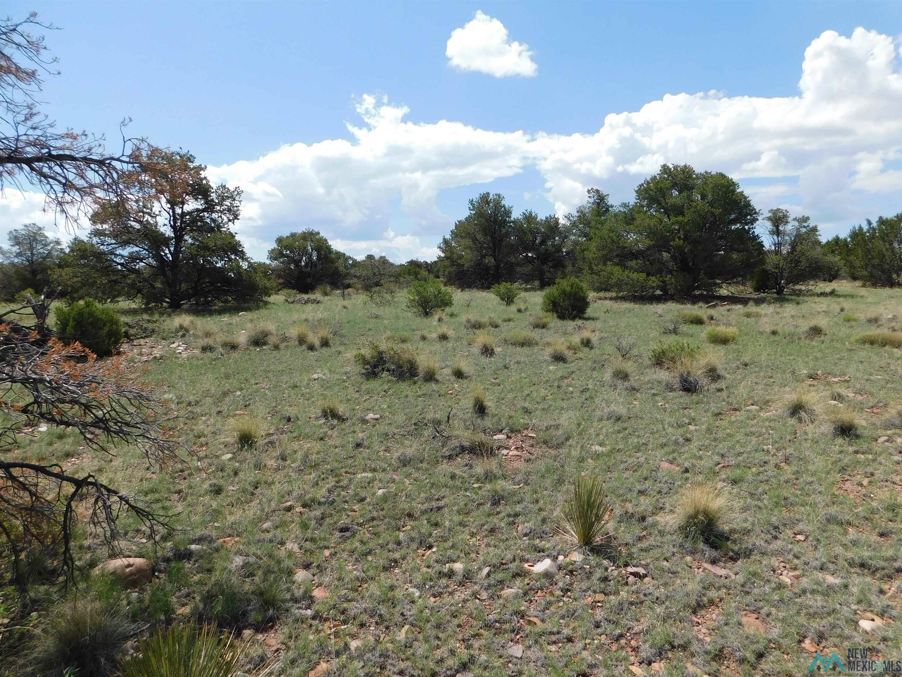 LOT 87 Dove Road, Quemado, New Mexico image 8