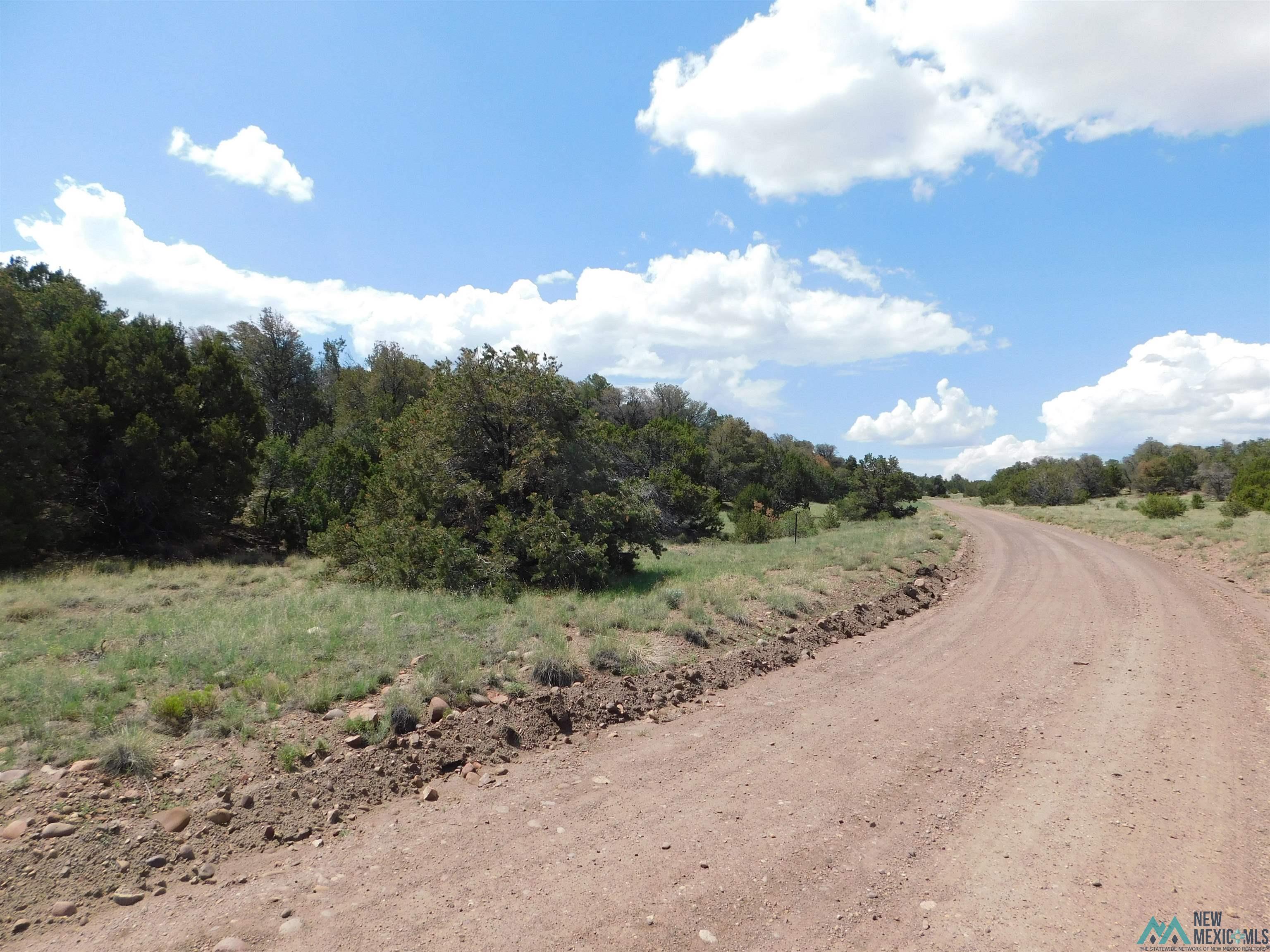 LOT 87 Dove Road, Quemado, New Mexico image 14