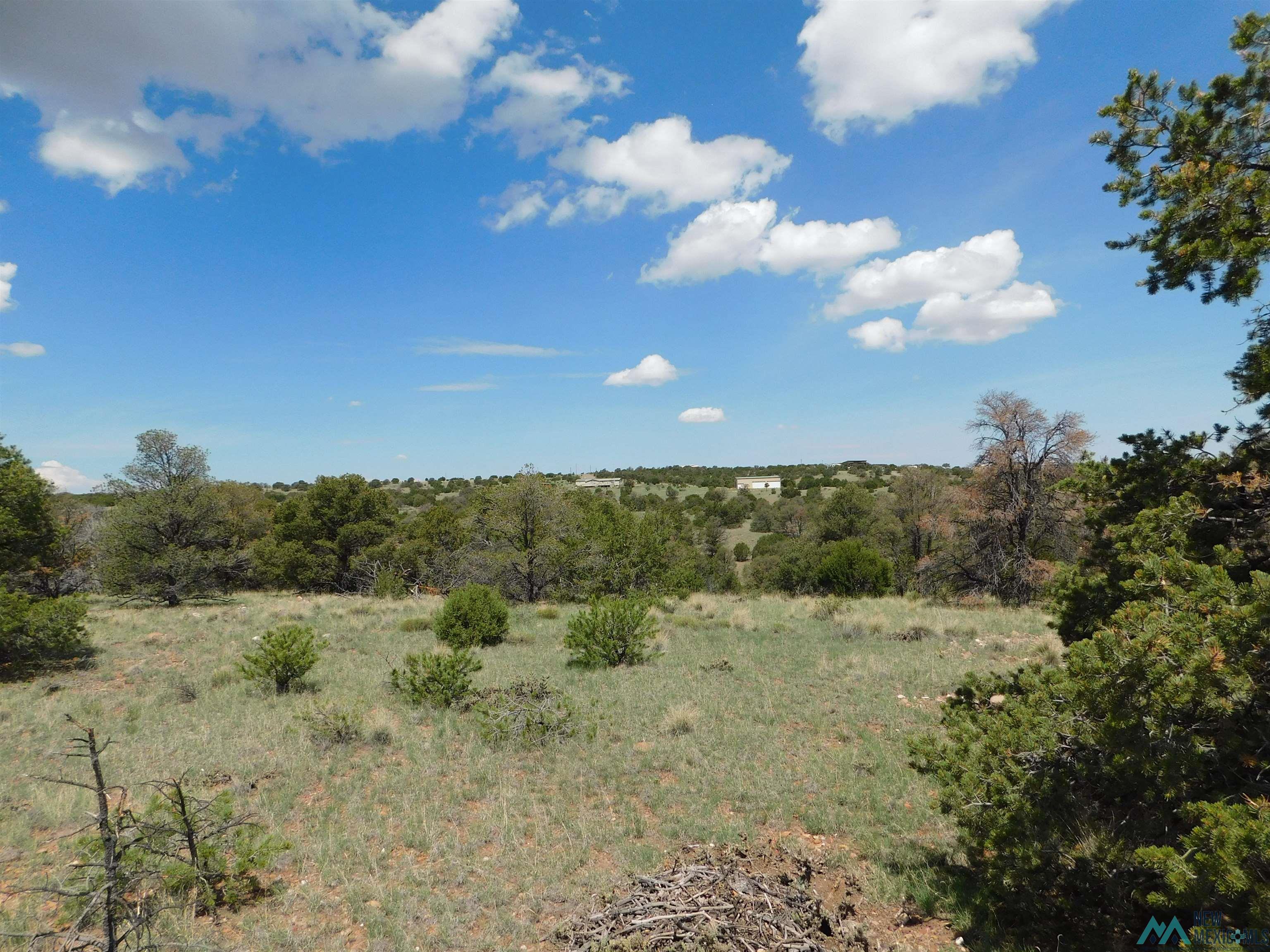 LOT 87 Dove Road, Quemado, New Mexico image 3