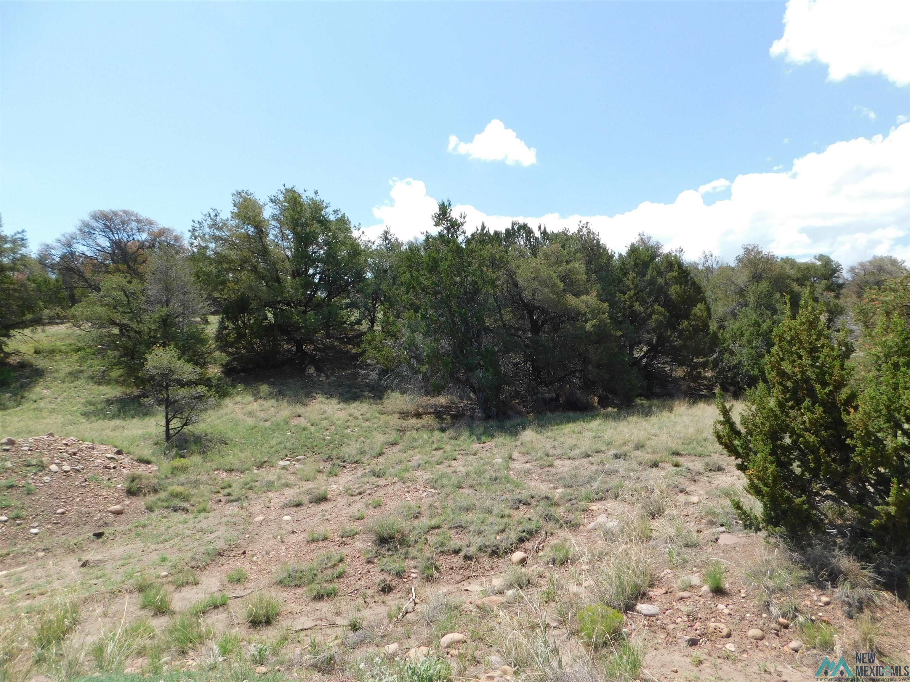 LOT 87 Dove Road, Quemado, New Mexico image 7