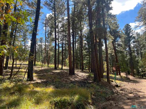 Vacant Land For Sale - 57 E Forest Drive<br/> Rociada, NM 87742