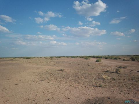 Vacant Land For Sale - 0000 San Pablo Road Se Road<br/> Deming, NM 88030