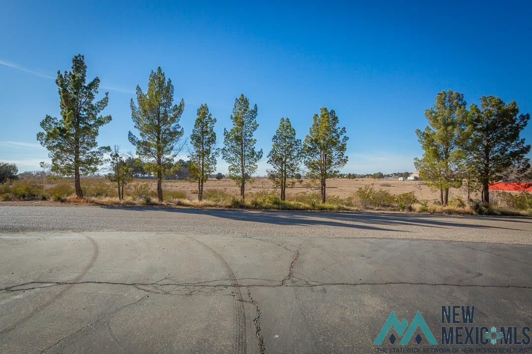 Artesia, New Mexico 88210, United States, 4 Bedrooms Bedrooms, ,4 BathroomsBathrooms,Residential,Active,177528