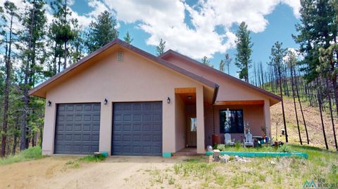 Homes For Sale - 1 Camino Anita Drive<br/> Rociada, NM 87742