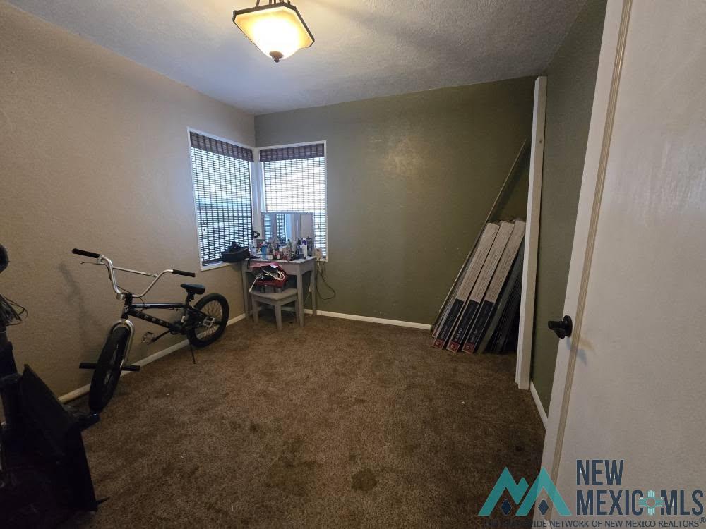 210 Vine Street, Carlsbad, Texas image 13