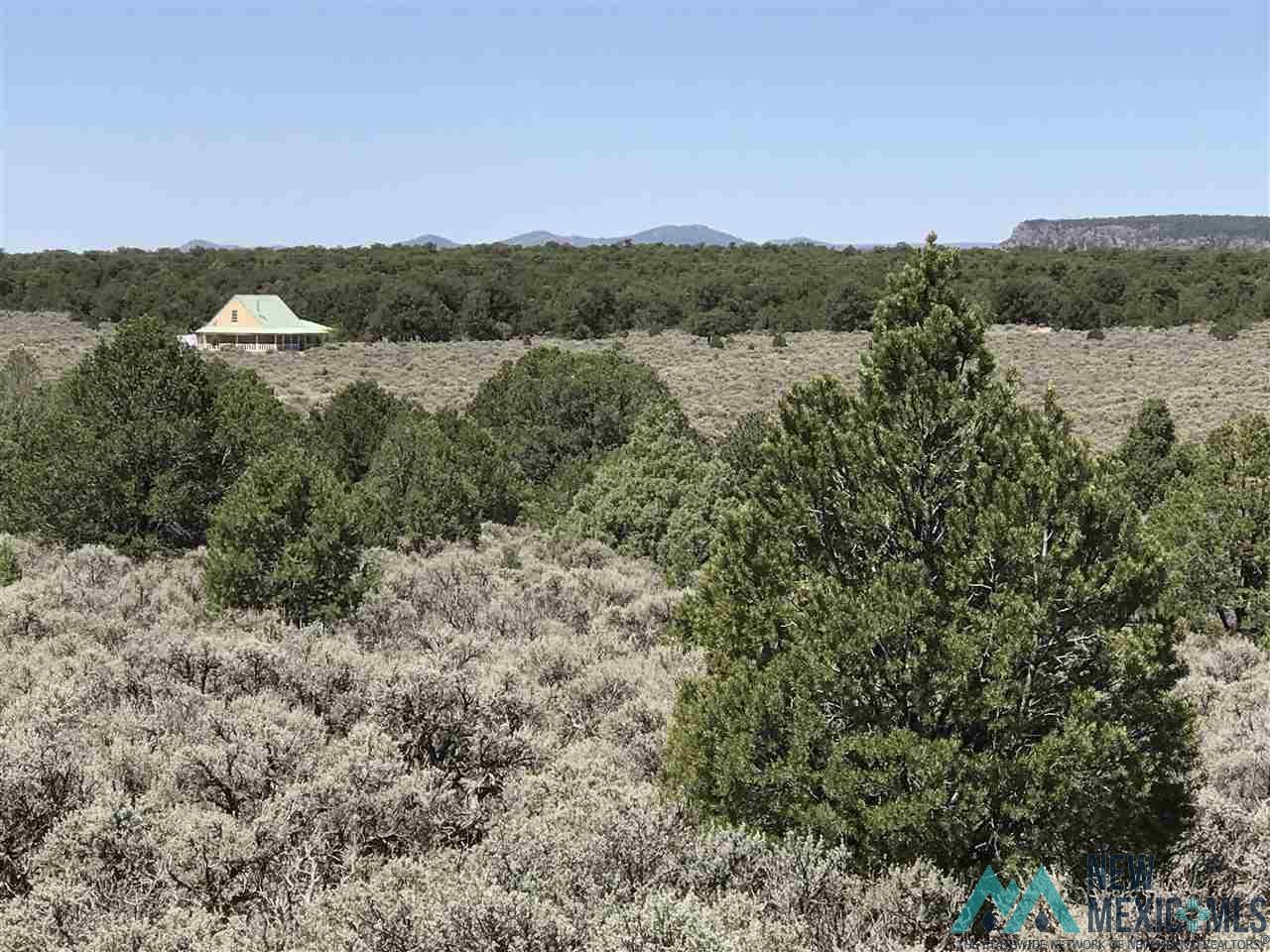 MM 372 Us Highway 285, Tres Piedras, New Mexico image 26