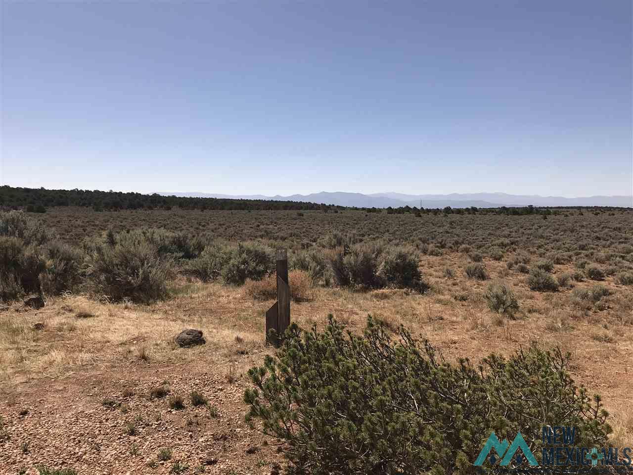 MM 372 Us Highway 285, Tres Piedras, New Mexico image 20
