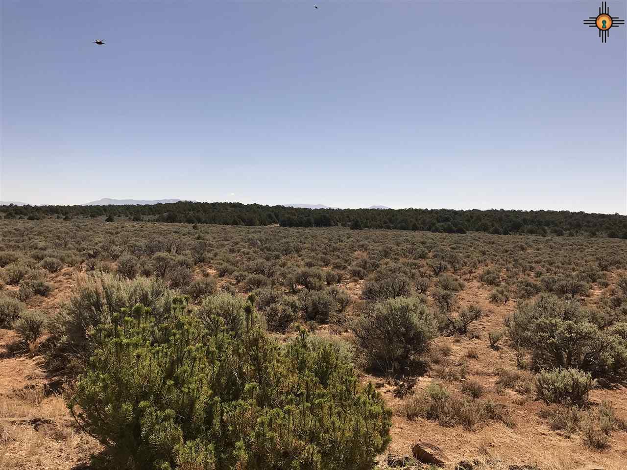 MM 372 Us Highway 285, Tres Piedras, New Mexico image 21