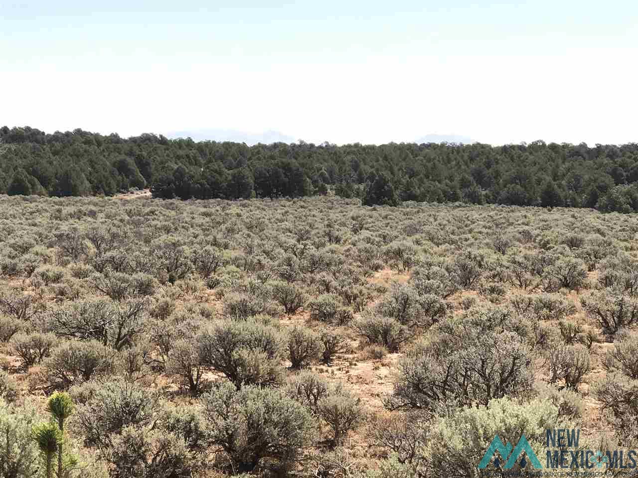 MM 372 Us Highway 285, Tres Piedras, New Mexico image 22