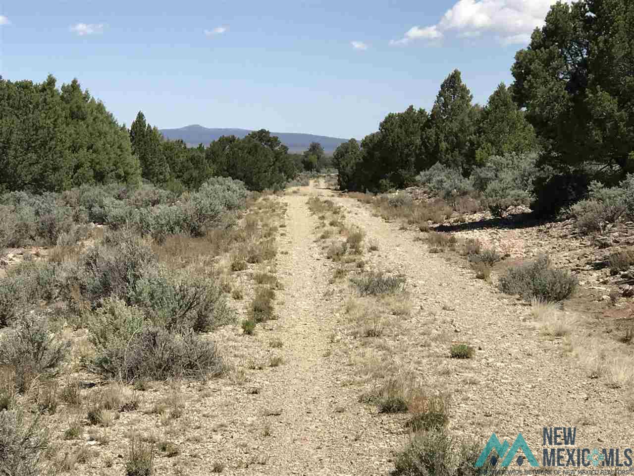 MM 372 Us Highway 285, Tres Piedras, New Mexico image 27
