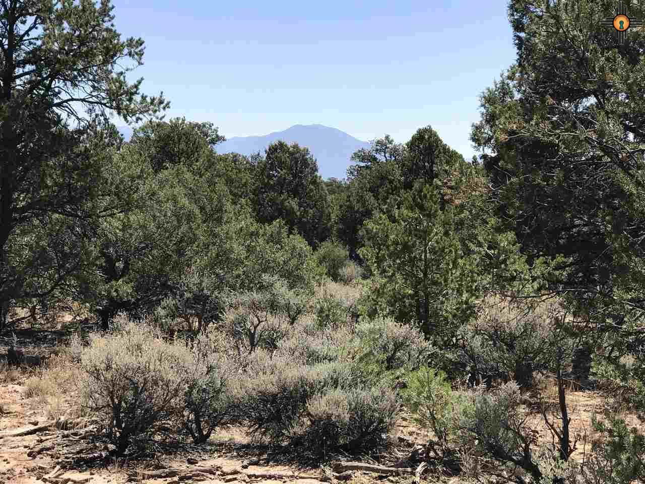 MM 372 Us Highway 285, Tres Piedras, New Mexico image 24