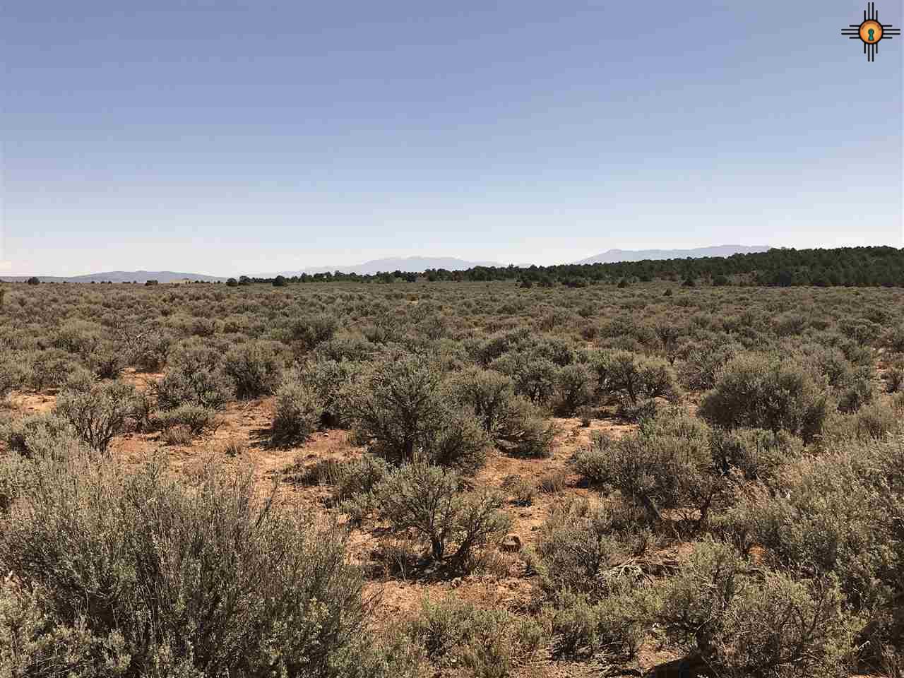 MM 372 Us Highway 285, Tres Piedras, New Mexico image 23