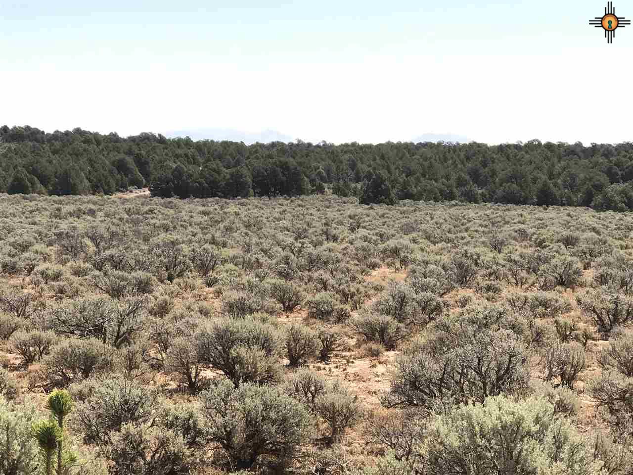 MM 372 Us Highway 285, Tres Piedras, New Mexico image 22