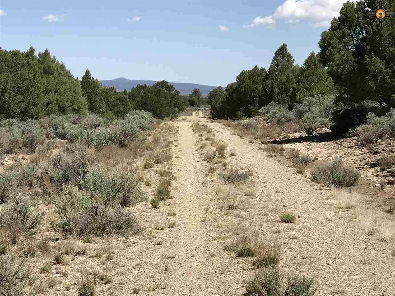 MM 372 Us Highway 285, Tres Piedras, New Mexico image 27