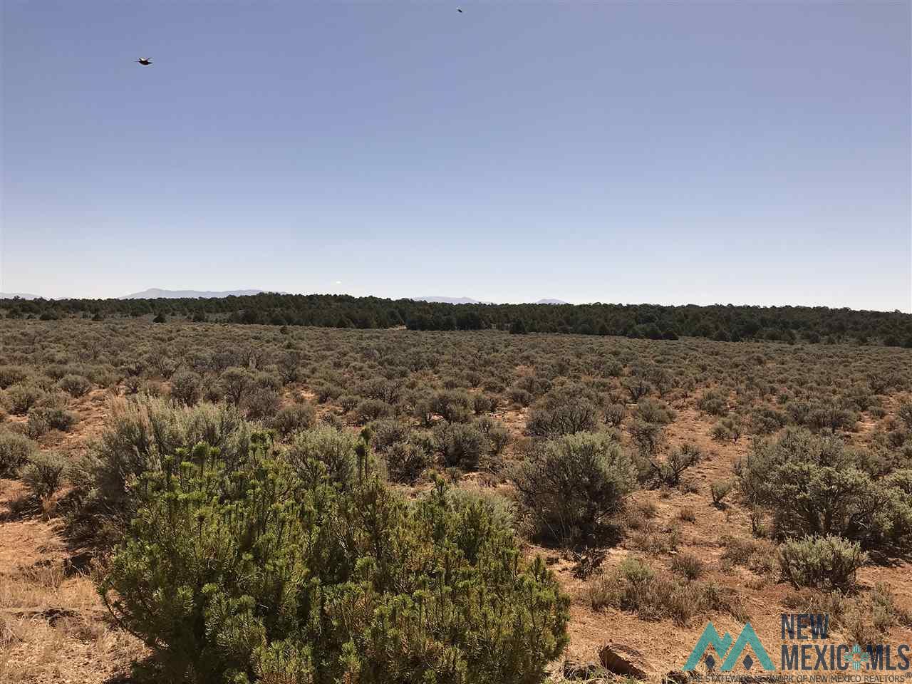 MM 372 Us Highway 285, Tres Piedras, New Mexico image 21