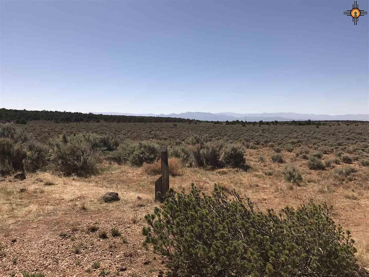 MM 372 Us Highway 285, Tres Piedras, New Mexico image 20