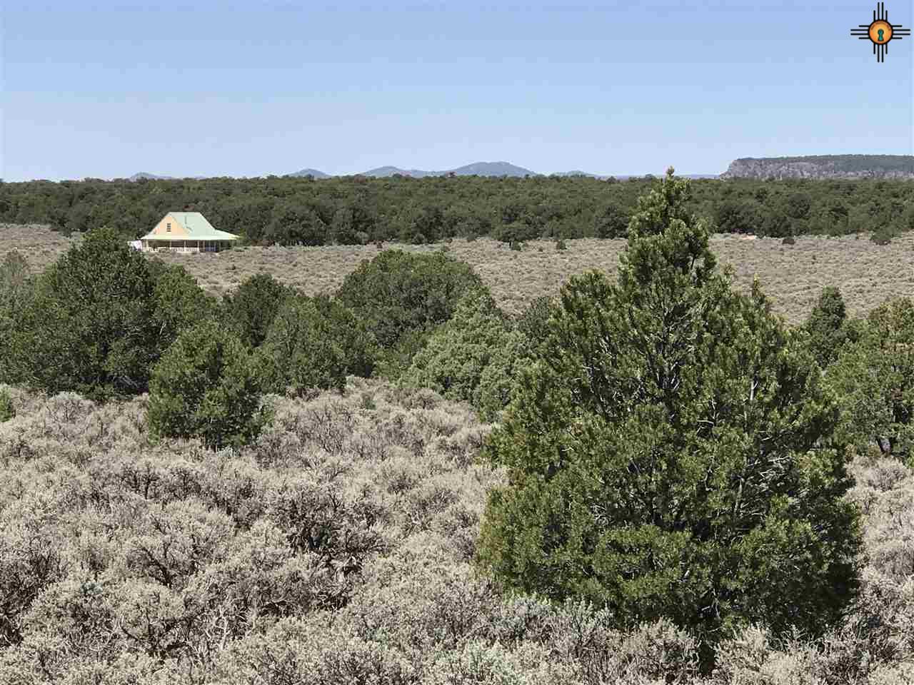 MM 372 Us Highway 285, Tres Piedras, New Mexico image 26