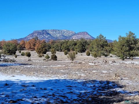 Vacant Land For Sale - 1 Jackass Lane<br/> Datil, NM 87821