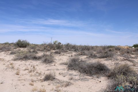 Vacant Land For Sale - Camila Rd Se<br/> Luna County, Deming, NM 88030