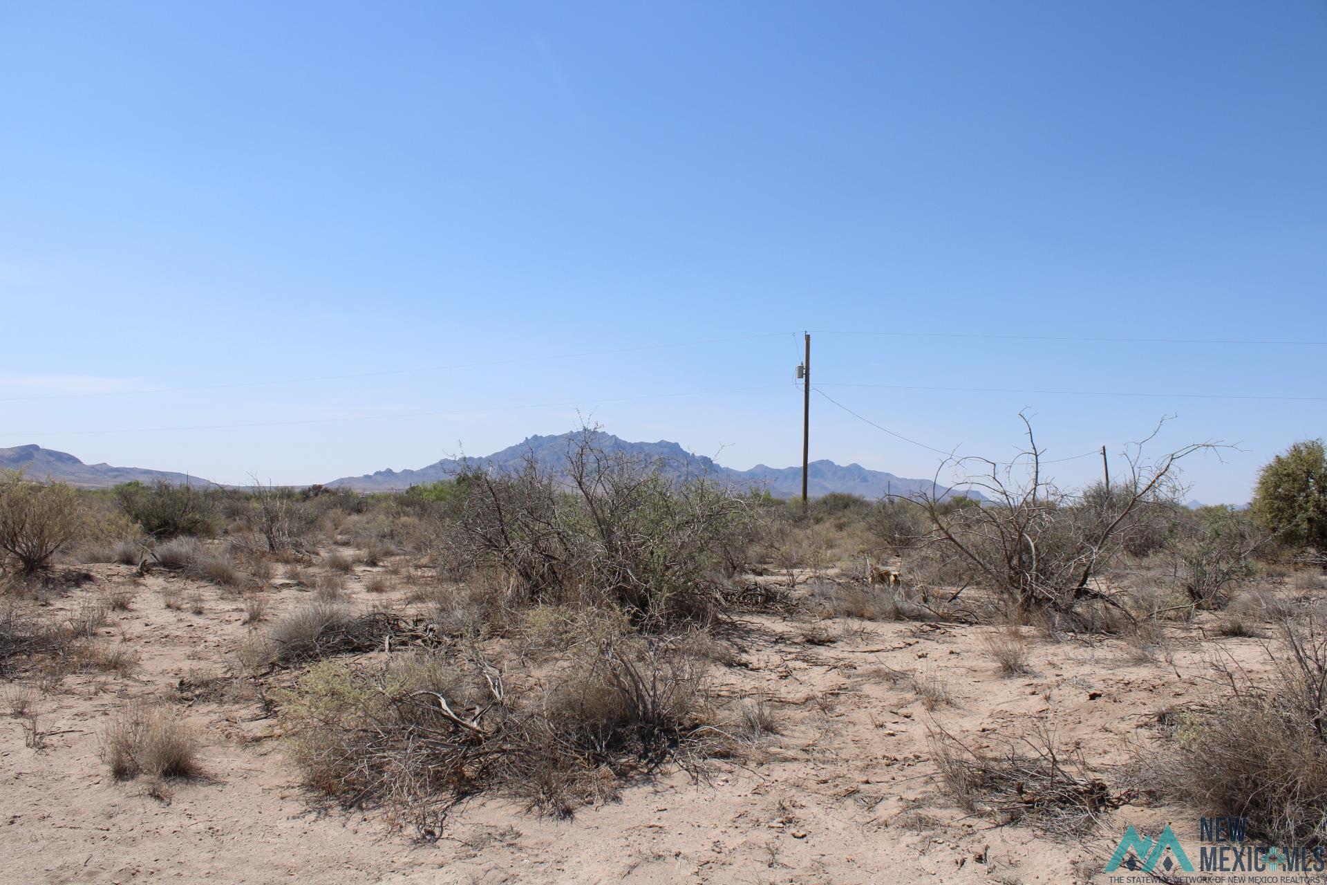 Camila Rd Se, Deming, New Mexico image 6