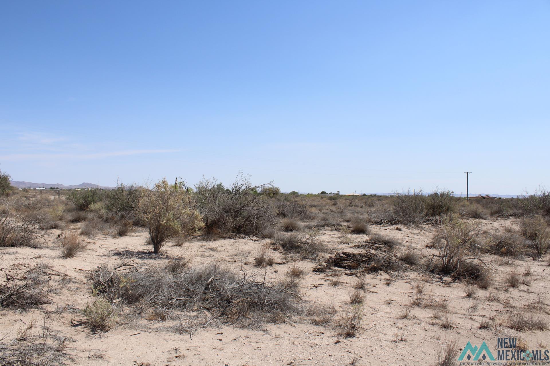 Camila Rd Se, Deming, New Mexico image 3