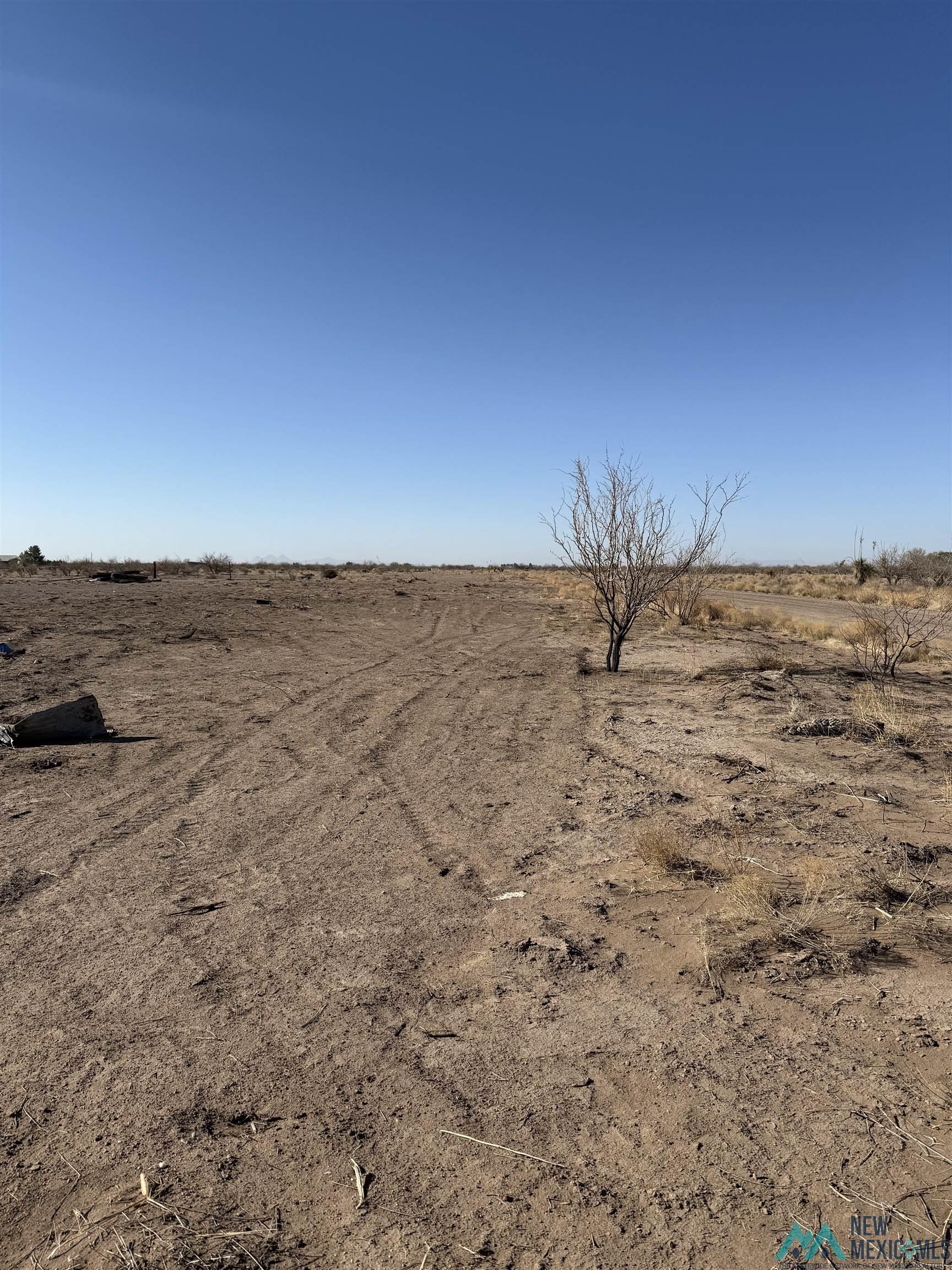 000 SW Calle De Valdes Road, Deming, Texas image 4