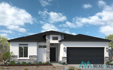 Homes For Sale - 3703 N Pat Garrett Road<br/> Eddy County, Carlsbad, NM 88220