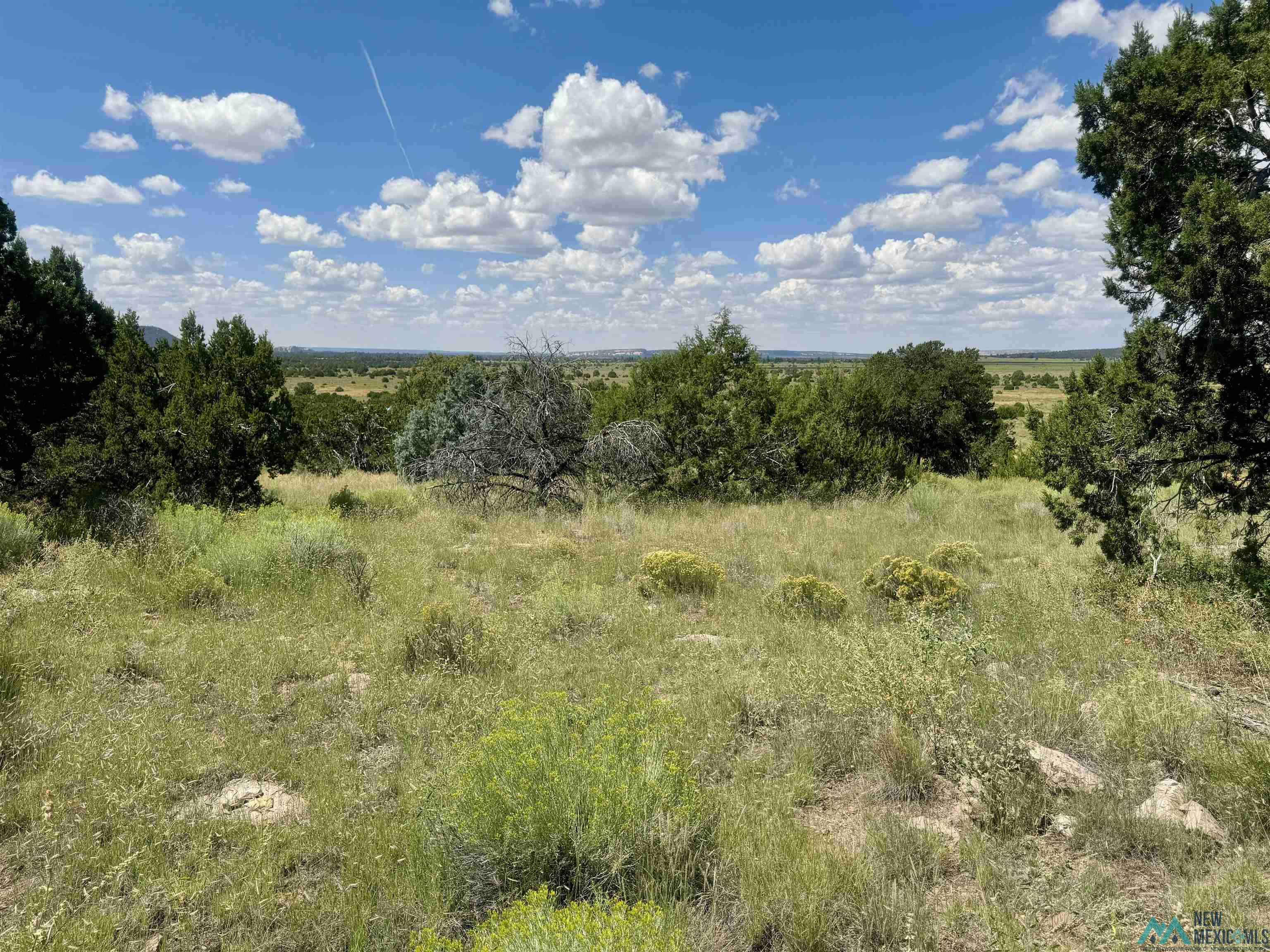 20 Road 6 Road, Ramah, New Mexico image 27