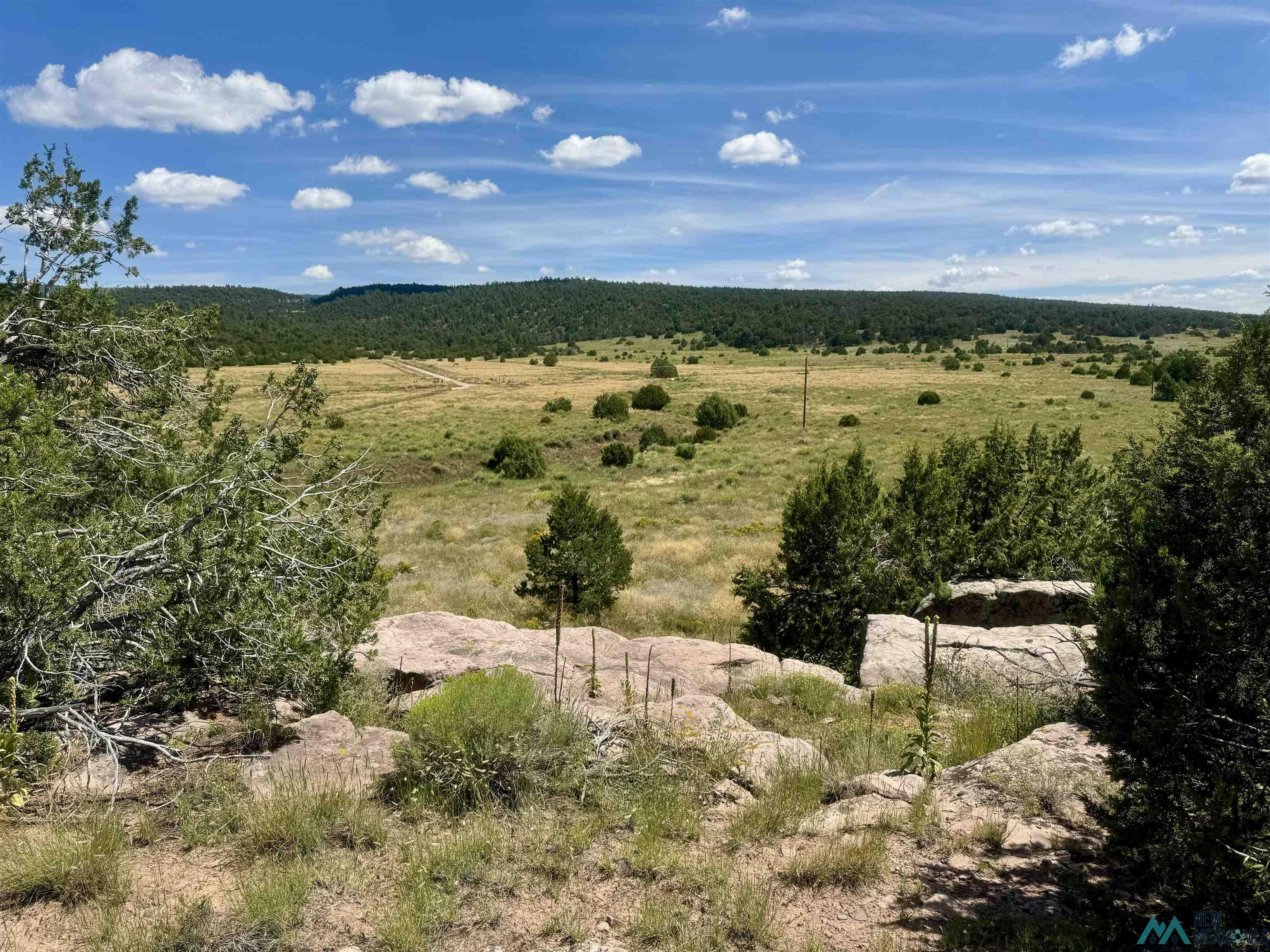 20 Road 6 Road, Ramah, New Mexico image 20